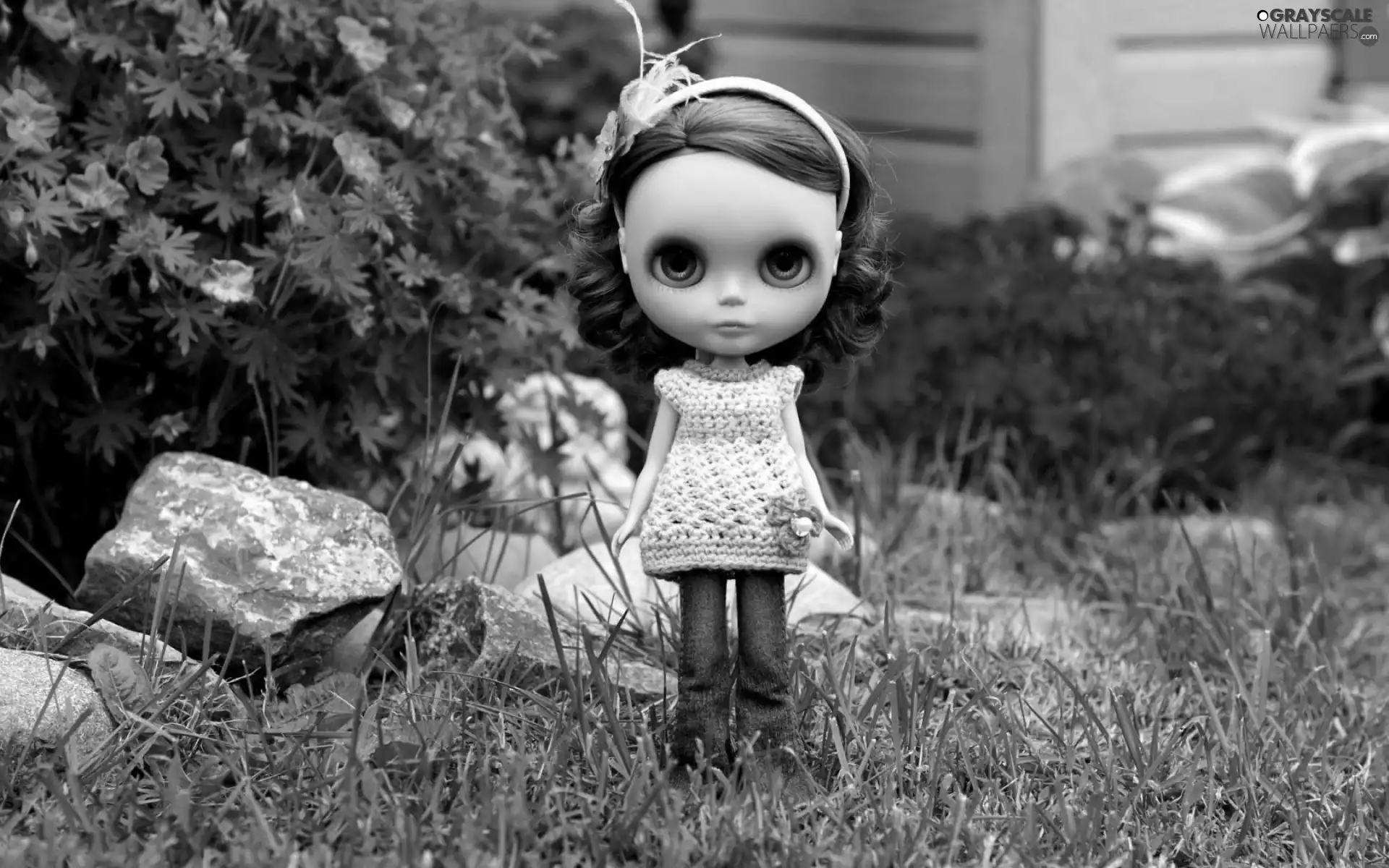 Stones, doll, Flowers, grass, Garden