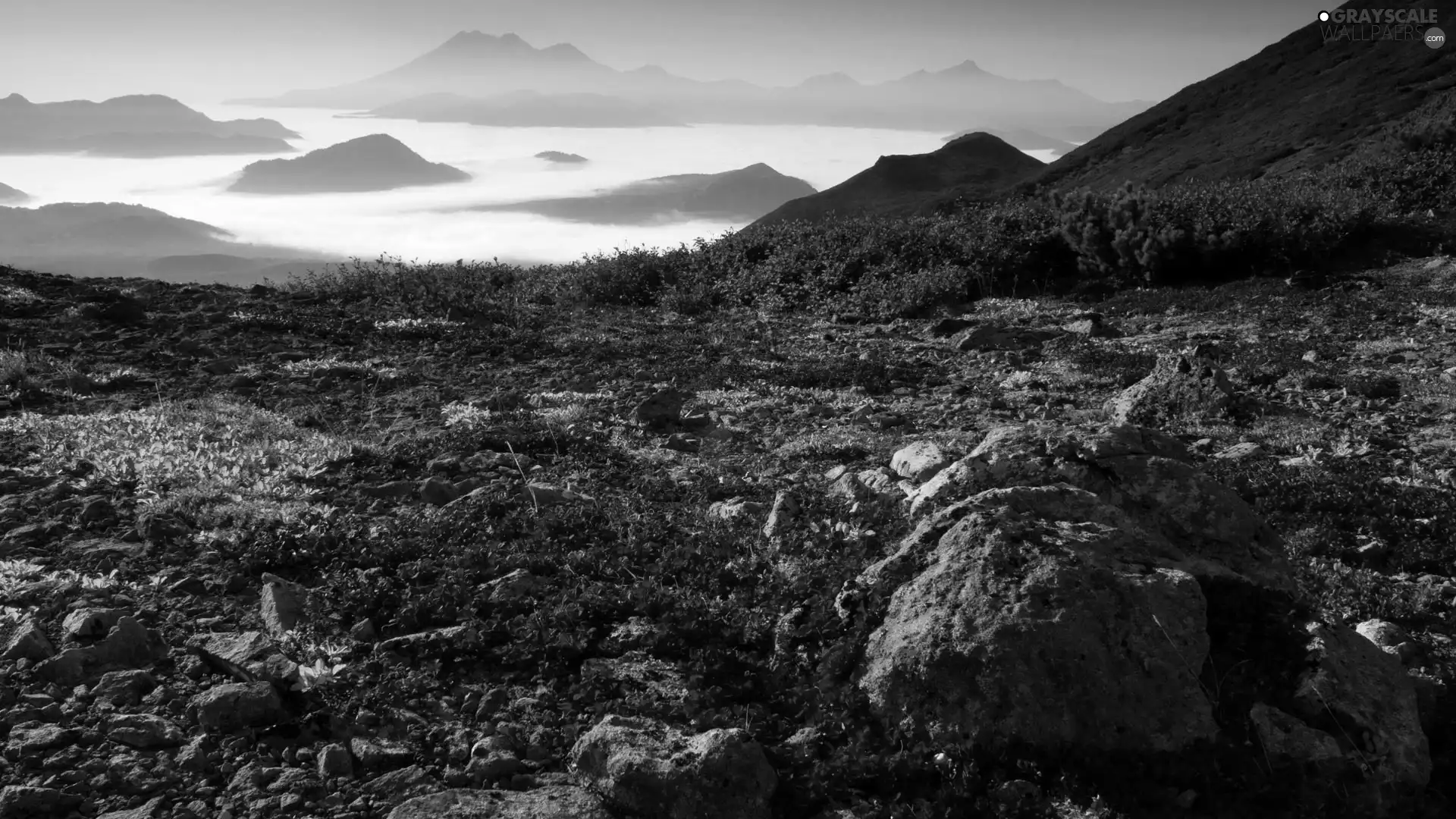 Stones, Fog, skimpy, VEGETATION, Mountains