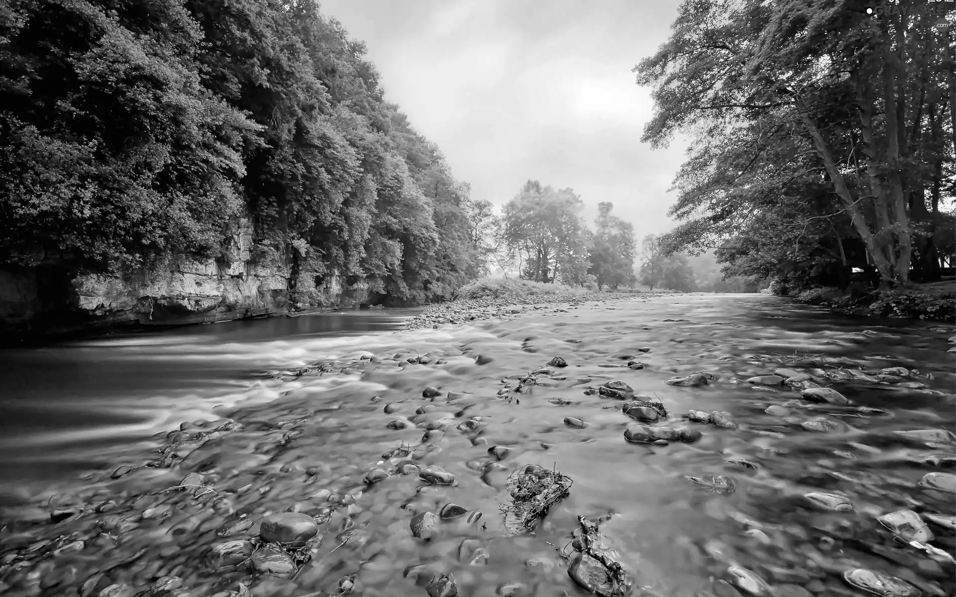 Stones, Fog, viewes, River, trees