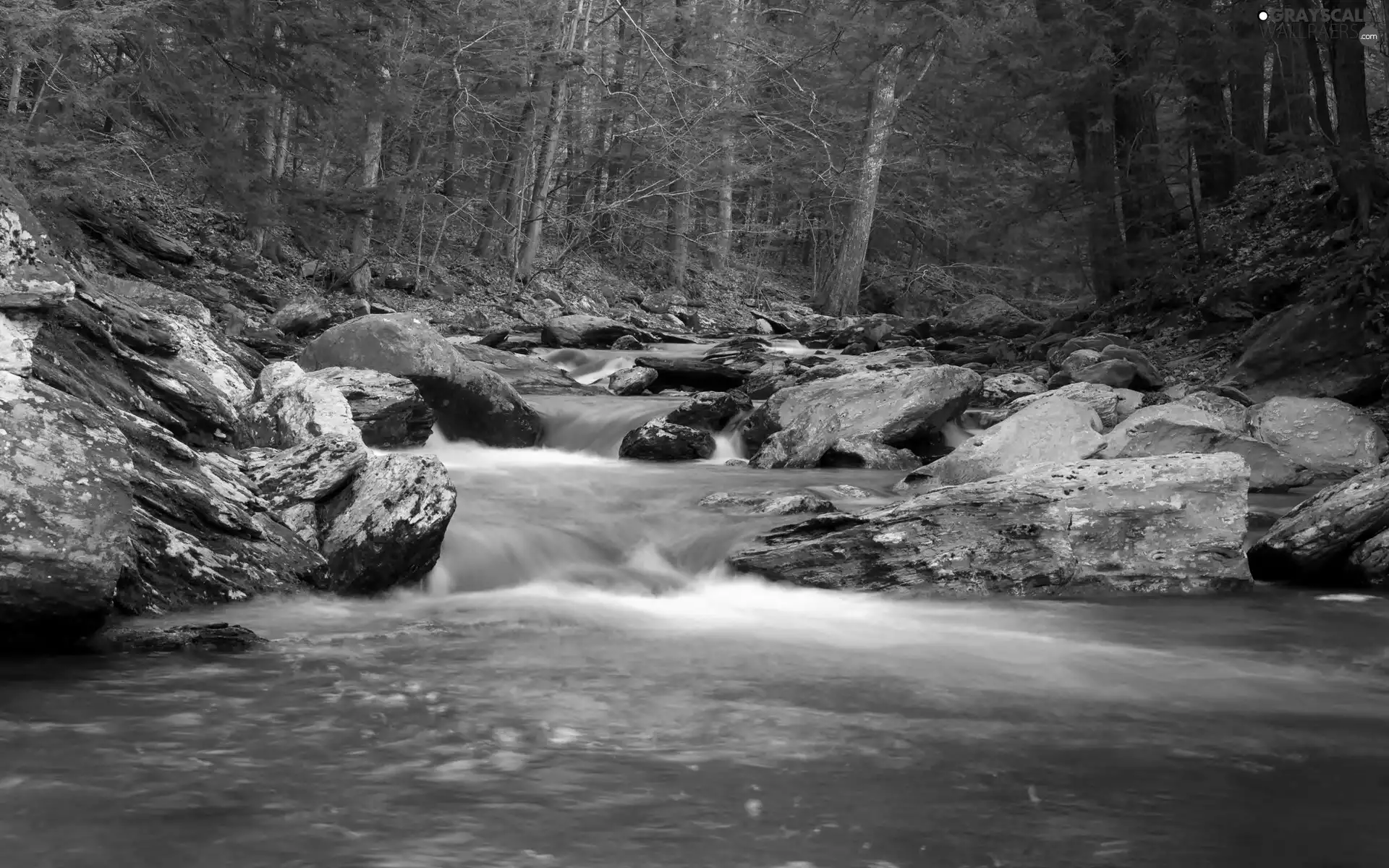 forest, cascade, Stones, stream