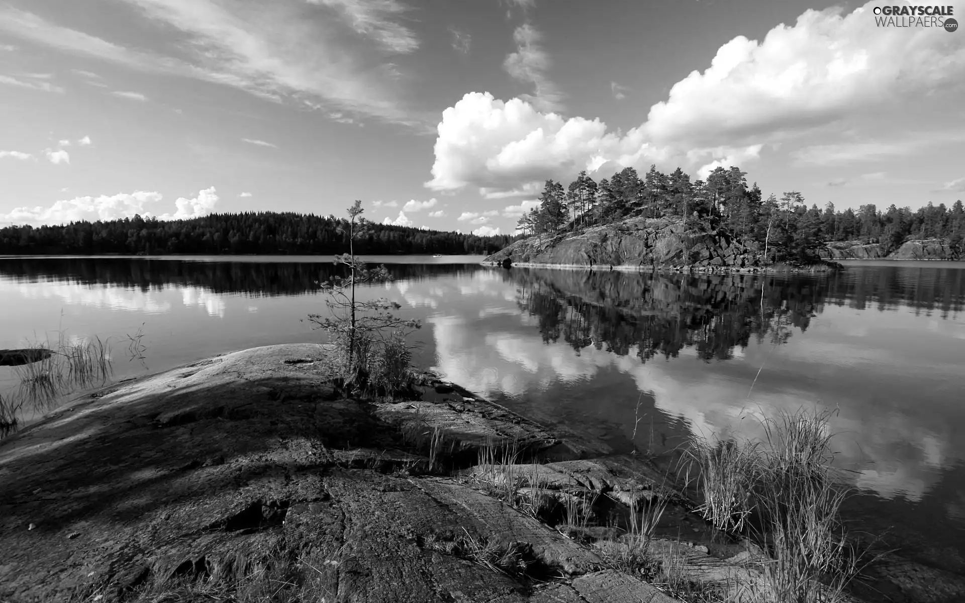 Island, clouds, rocks, River, Sky, Stones, forest