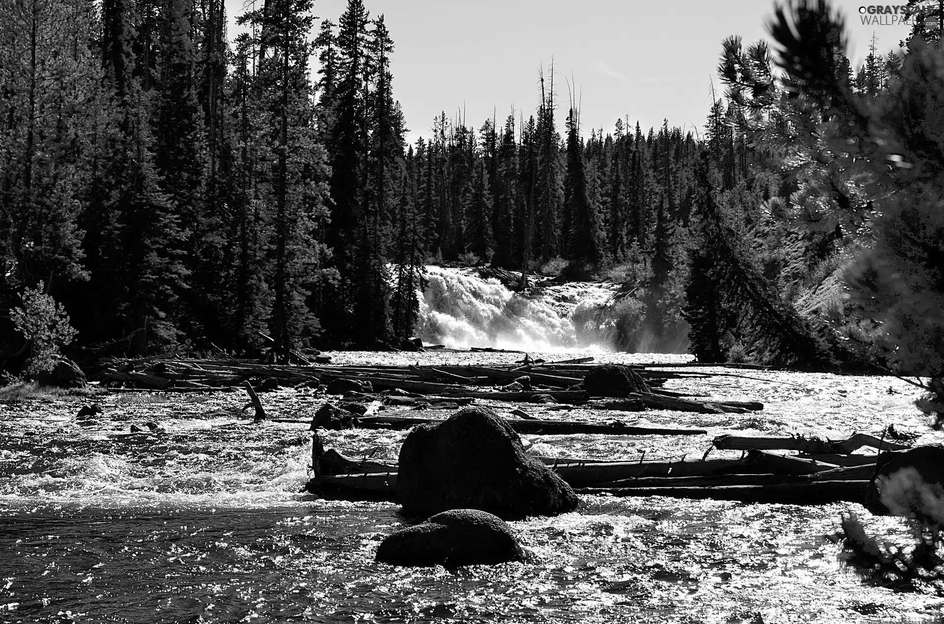 forest, River, Stones, tear