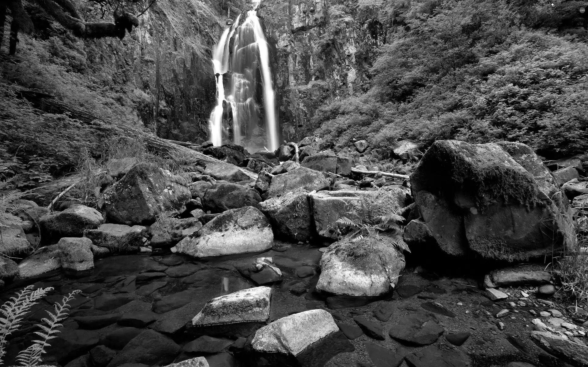 forest, rocks, Stones, waterfall