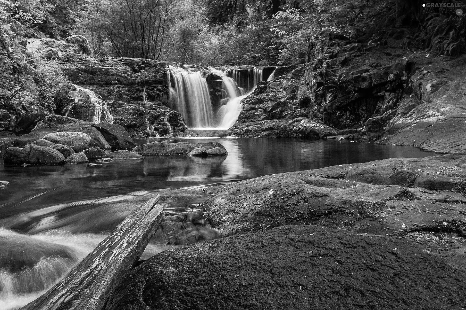 forest, waterfall, Stones, River