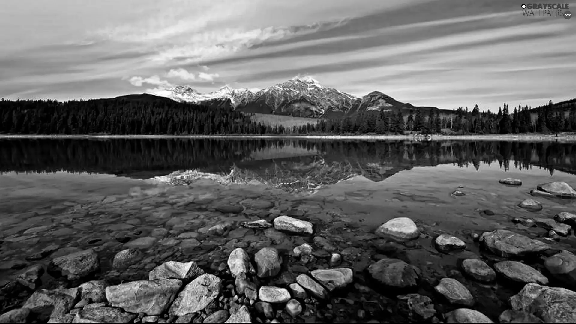 Stones, forest, lake