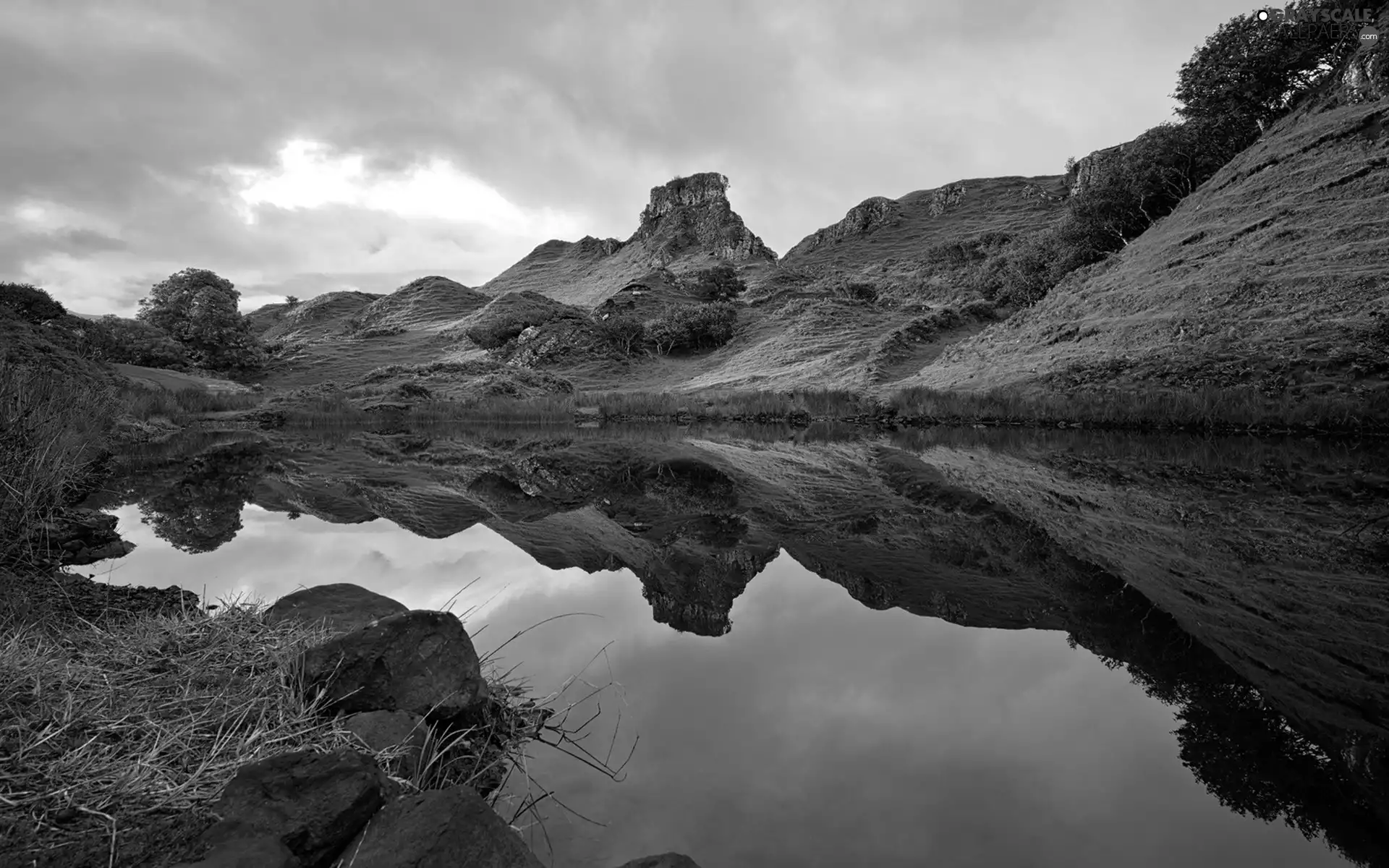 Stones, lake, Meadow