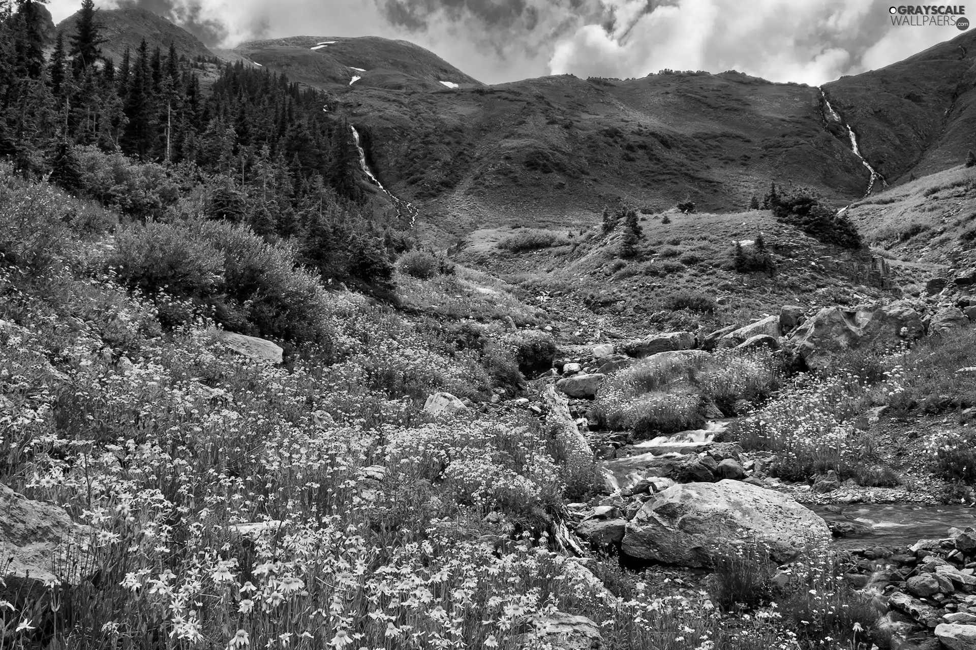 Streams, Meadow, Stones, The Hills, forest, Flowers