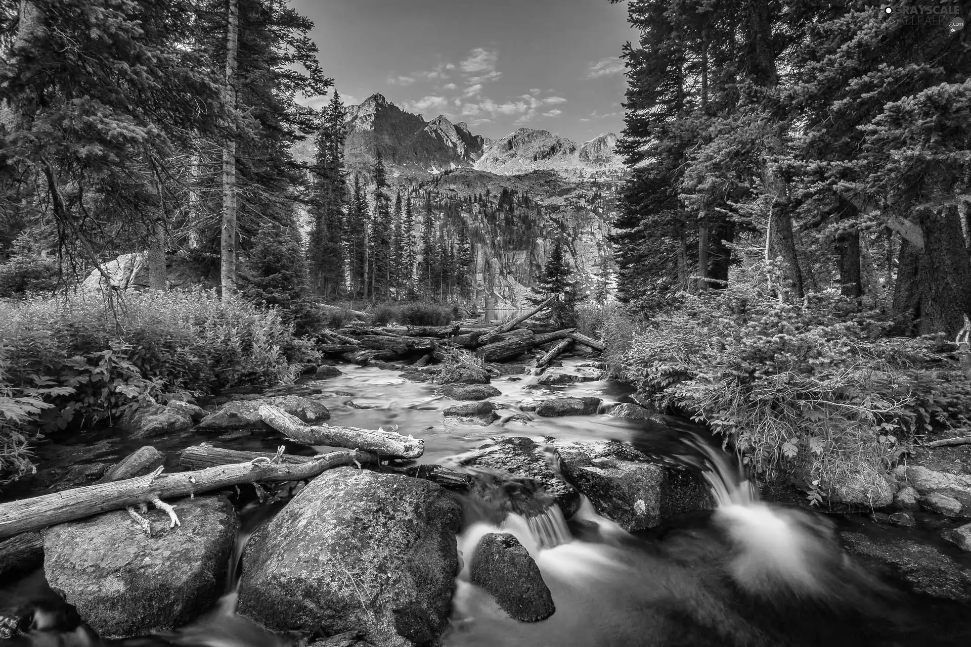 Mountains, River, Stones, forest