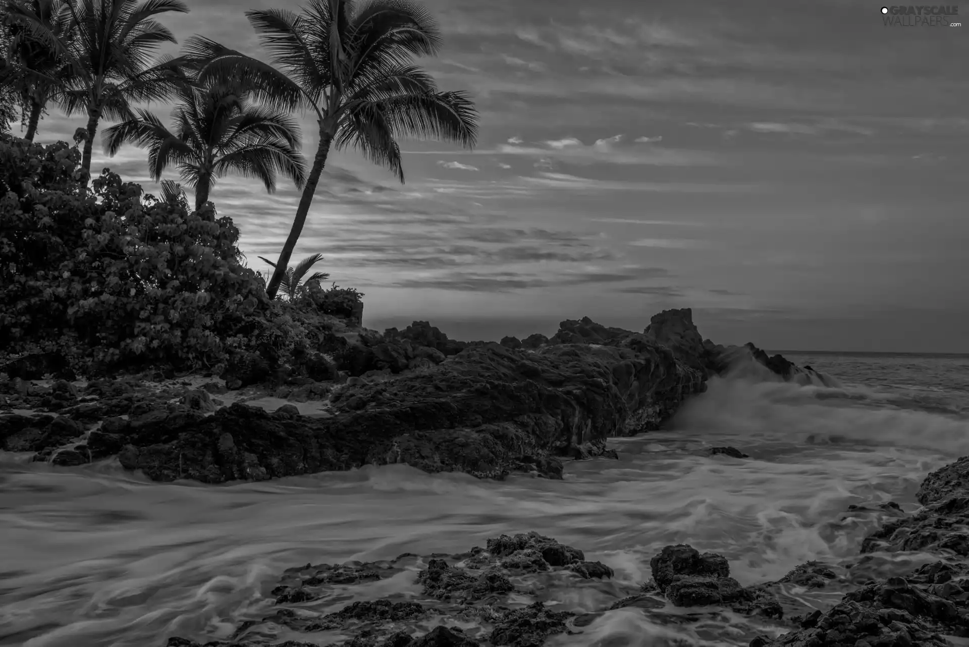 Stones rocks, Palms, sun, sea, west