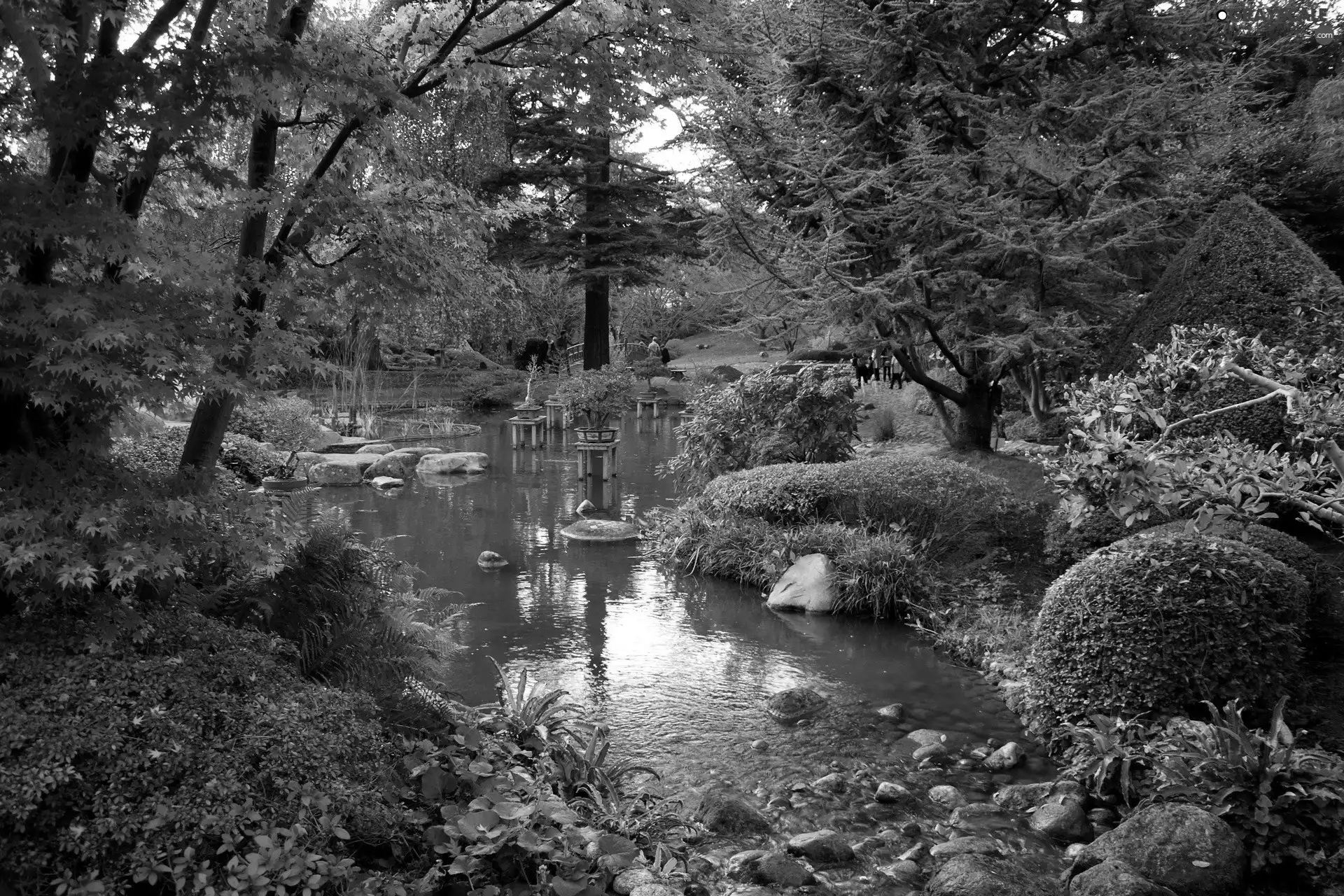 viewes, Park, Stones, Plants, brook, trees