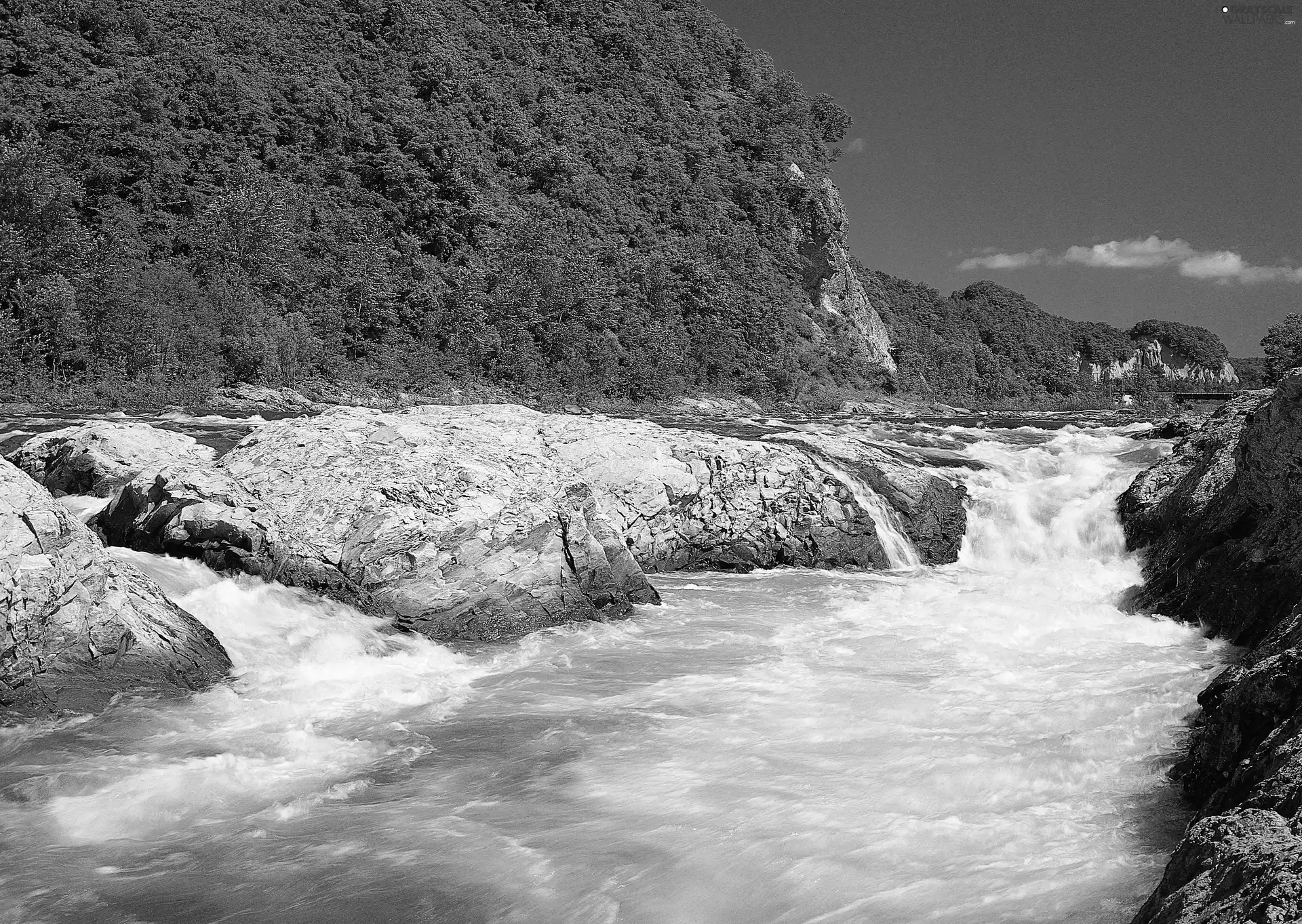 Stones, Plants, current, rocks, River