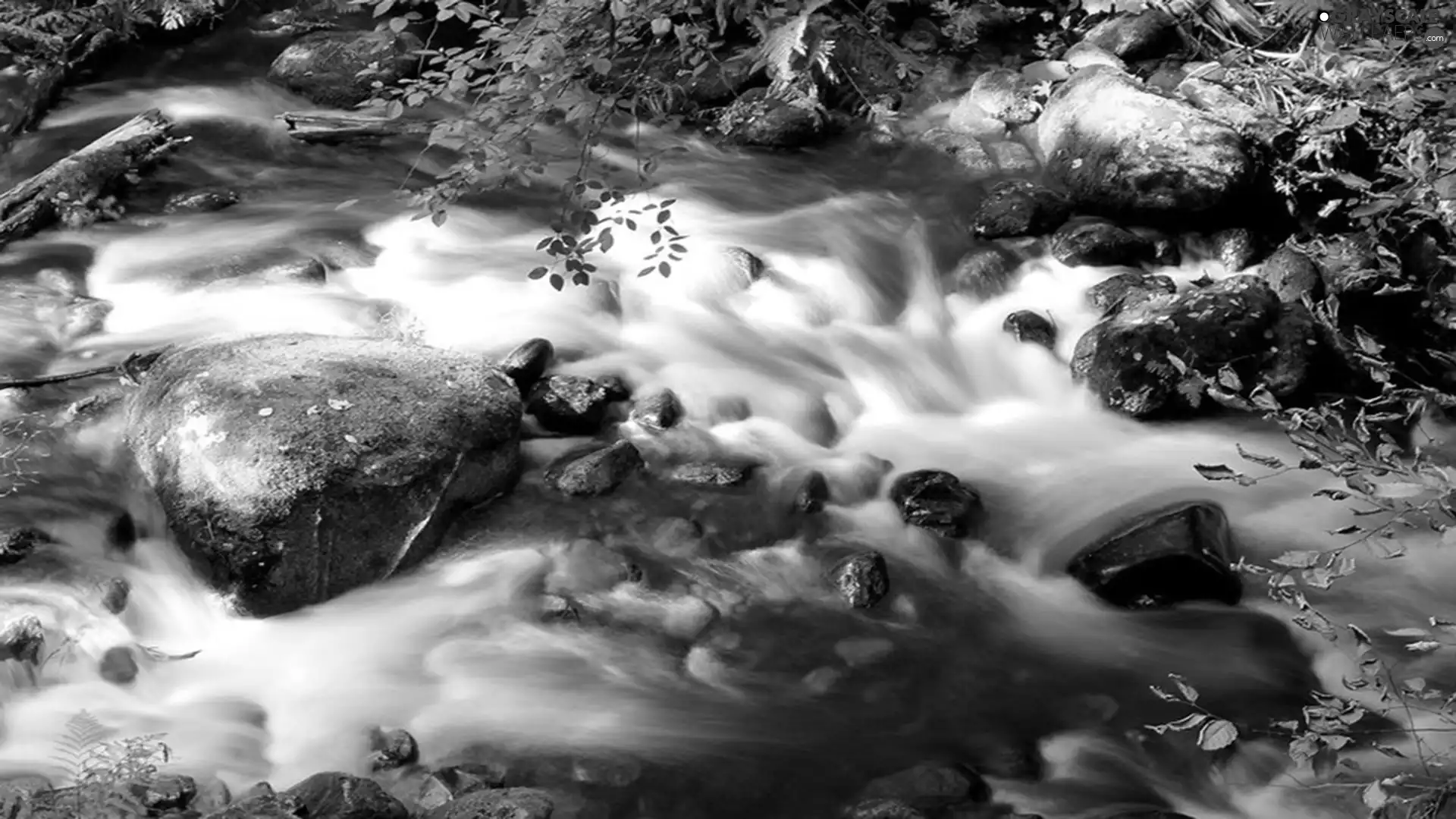 River, Stones