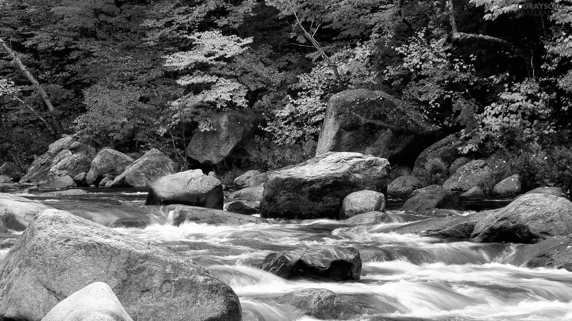 Stones, autumn, River