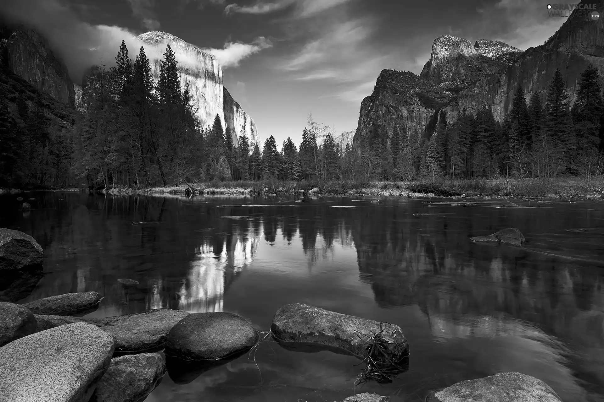 River, forest, Stones, Mountains