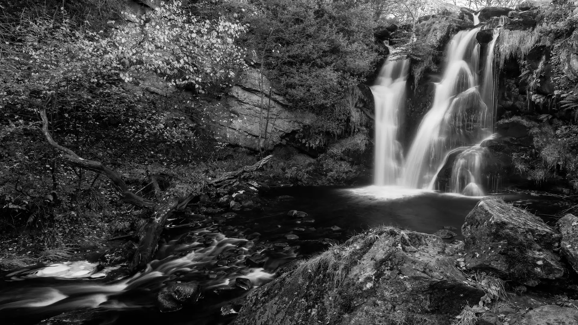 rocks, Stones, River, waterfall, forest