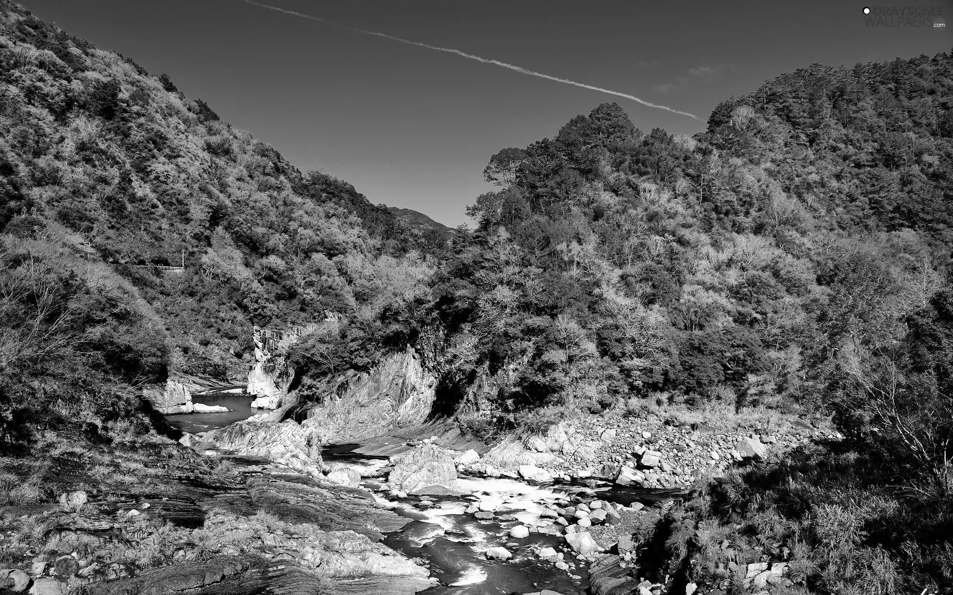 River, woods, Stones, Mountains