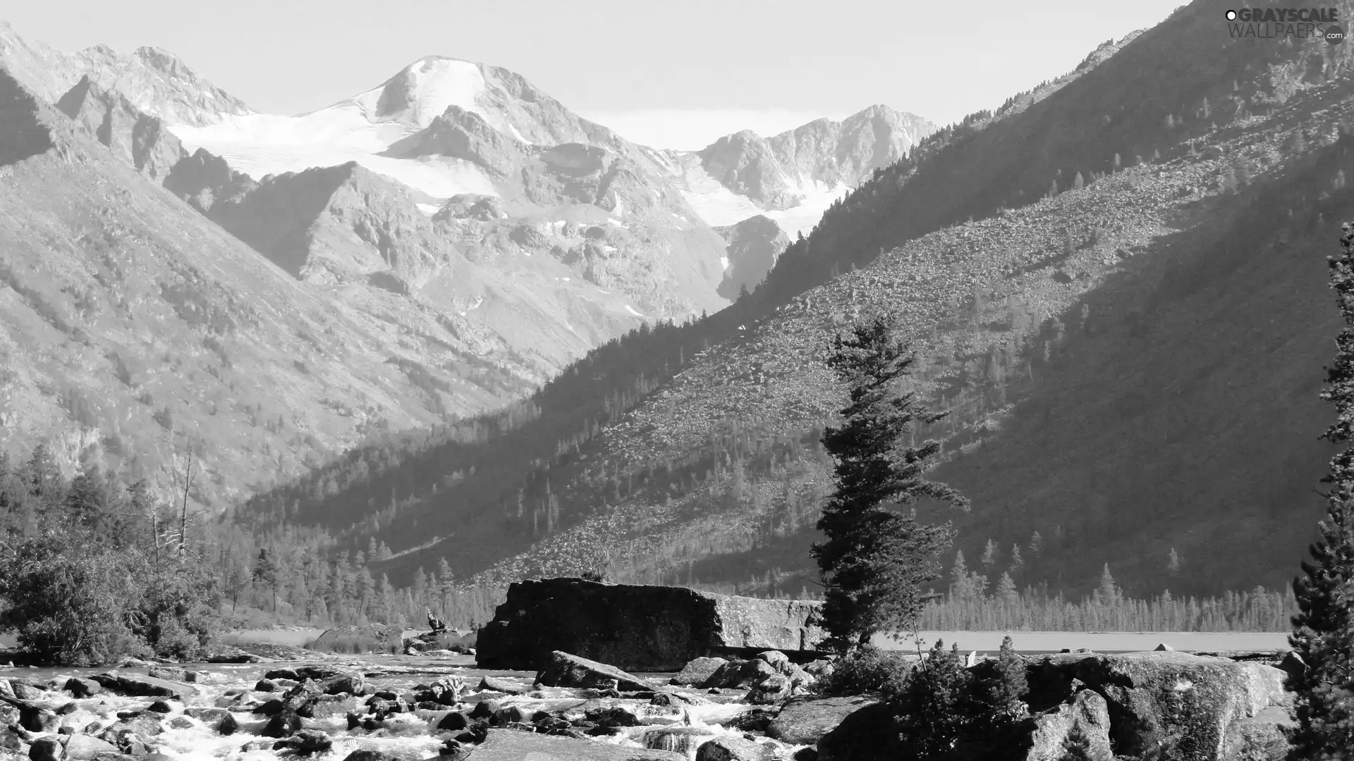 River, woods, Stones, Mountains