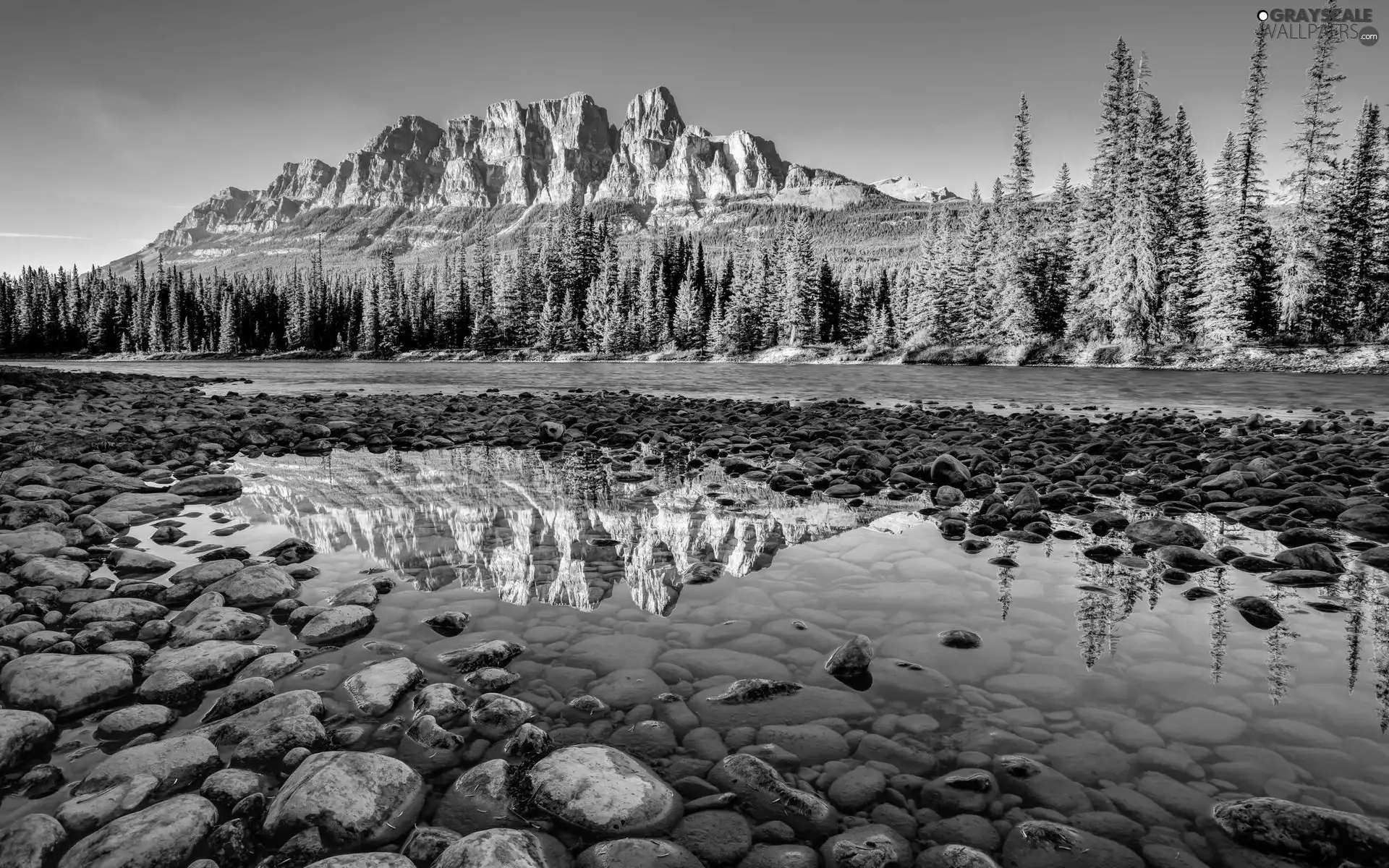 rocks, River, Stones, forest