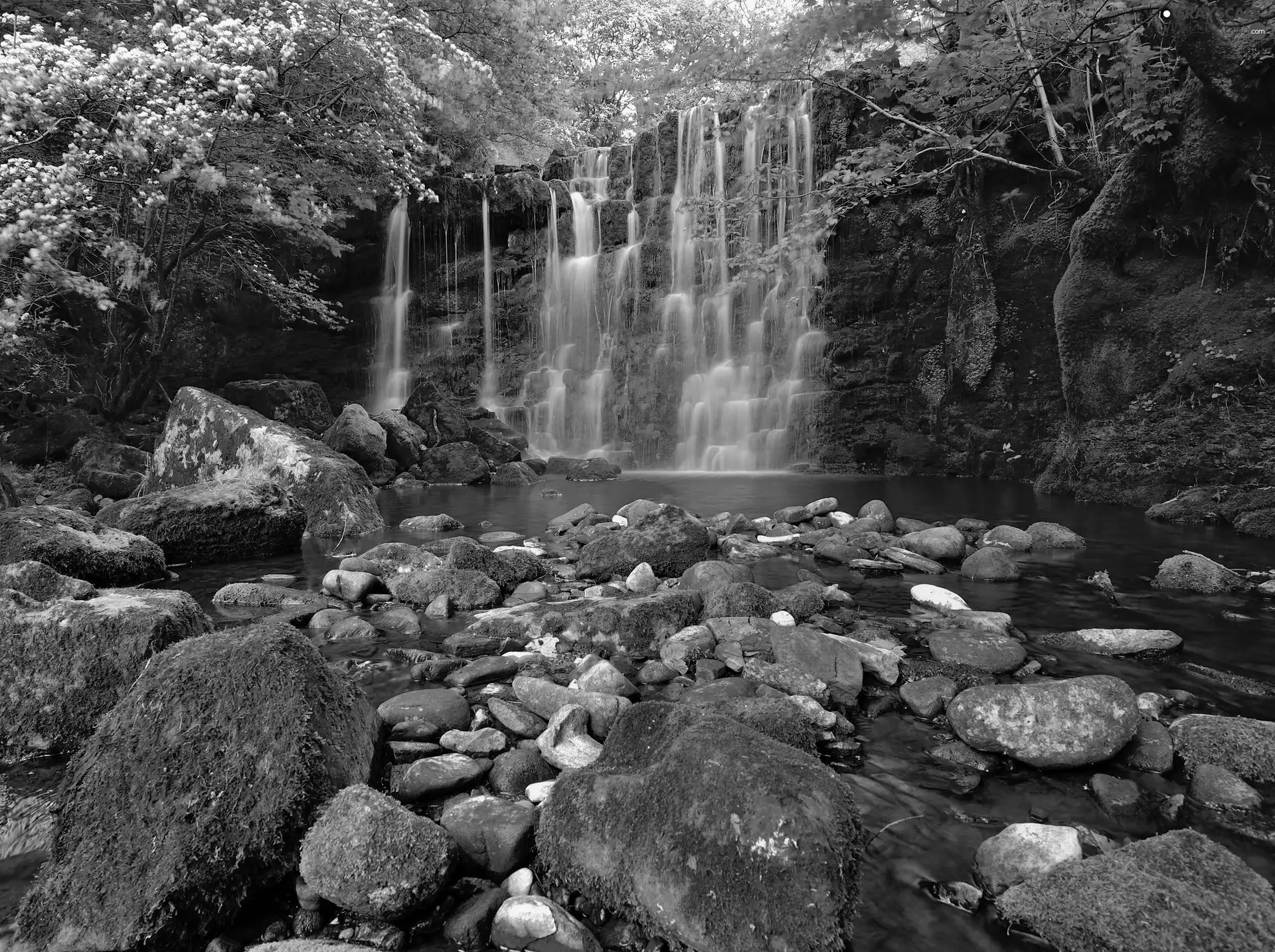 scrub, waterfall, viewes, Stones, trees, rocks