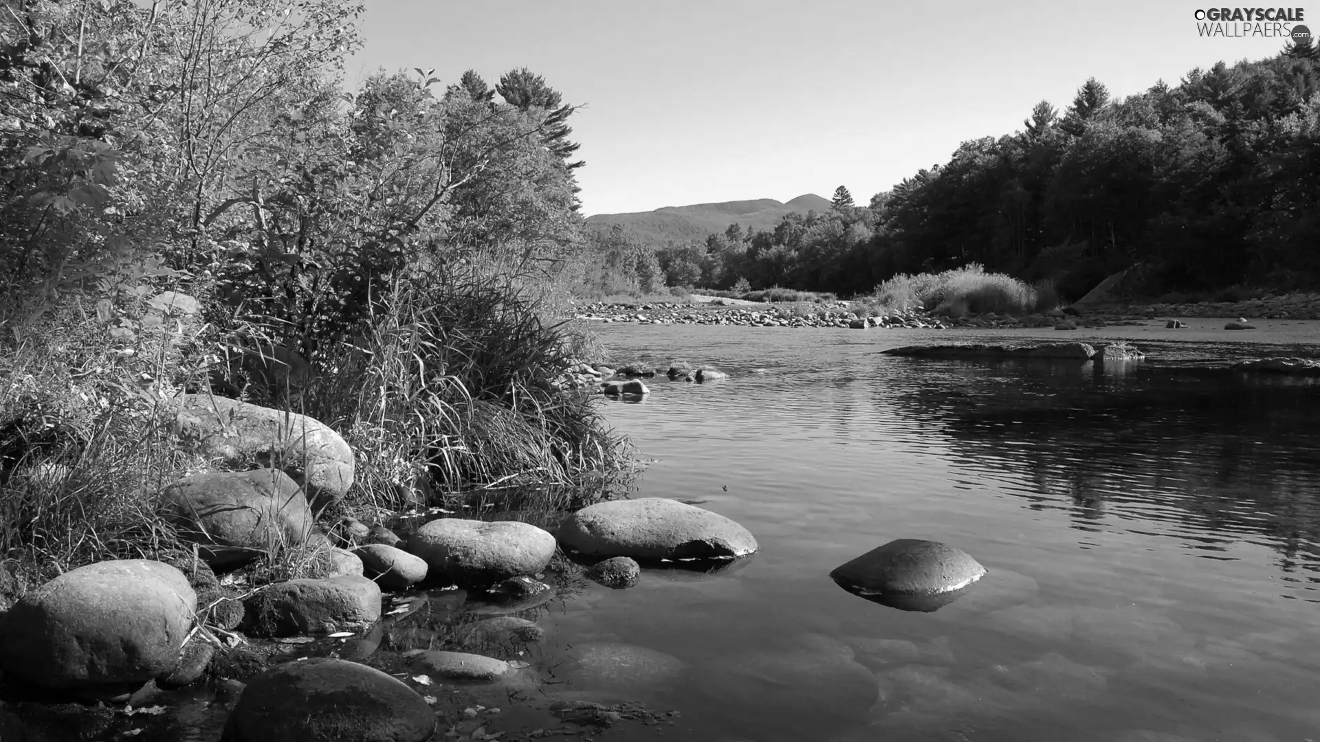 Stones, River, scrub