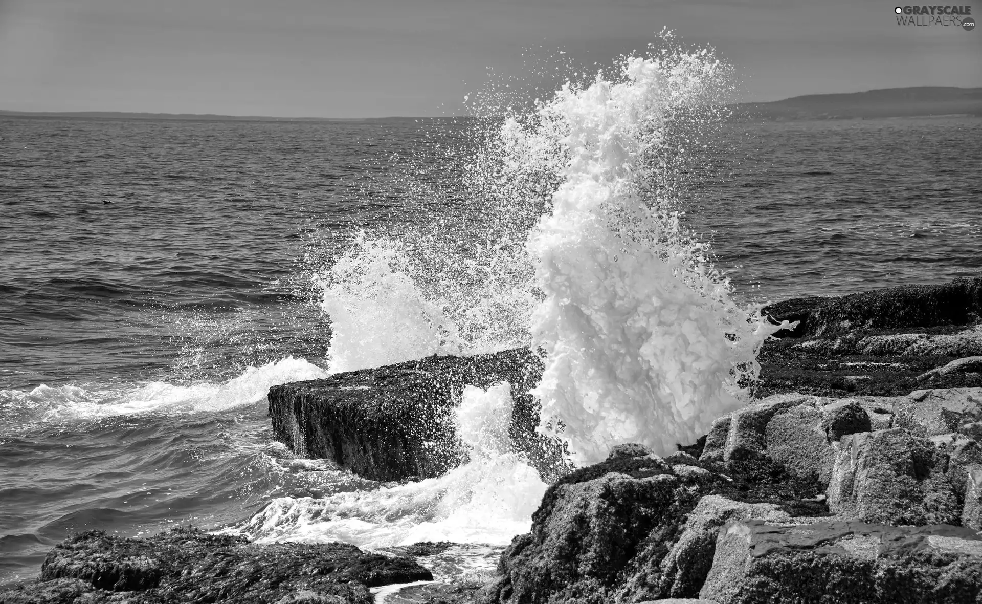 sea, Stones