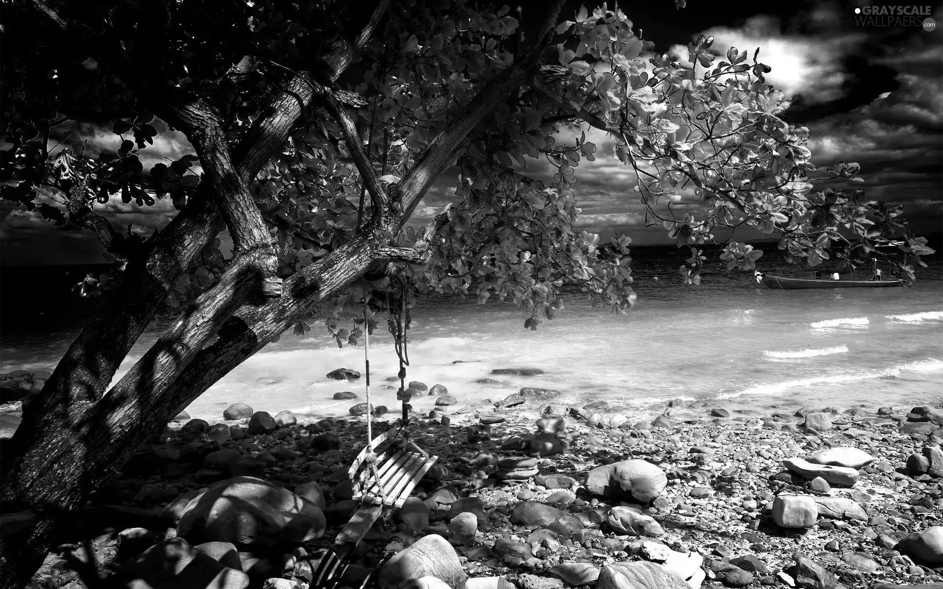 Stones, trees, Swing