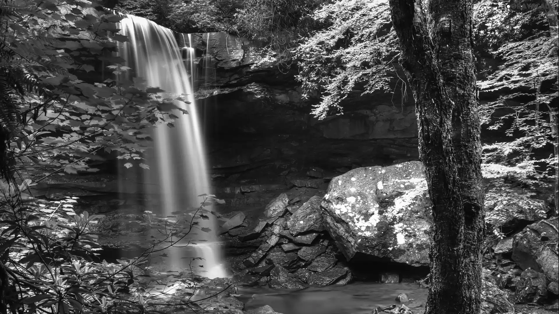 trees, cascade, Stones, viewes