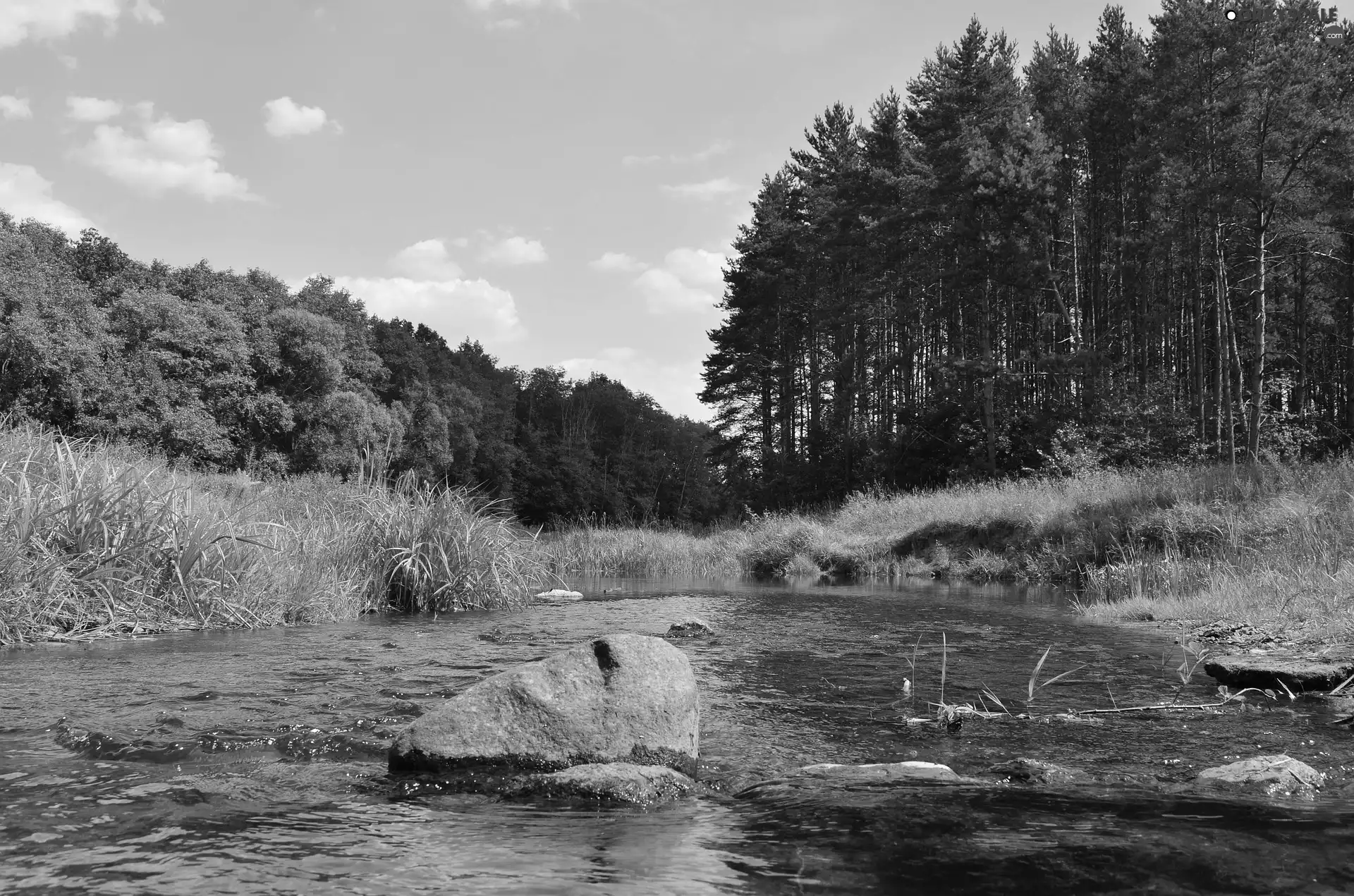 viewes, River, grass, Stones, Green, trees