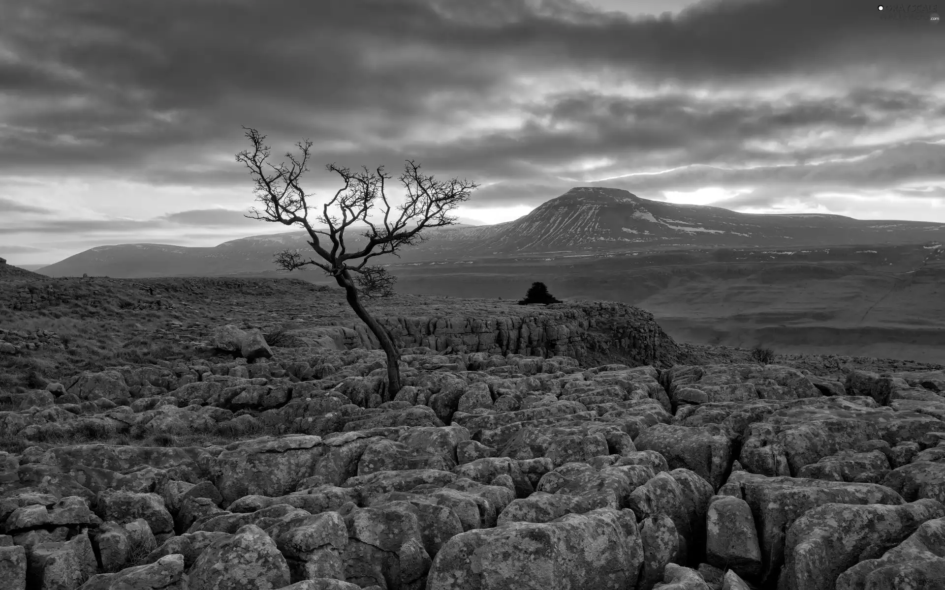 Stones, trees, sun, rocks, west