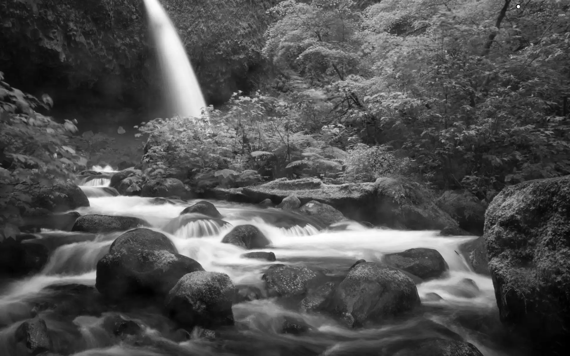 waterfall, Stones