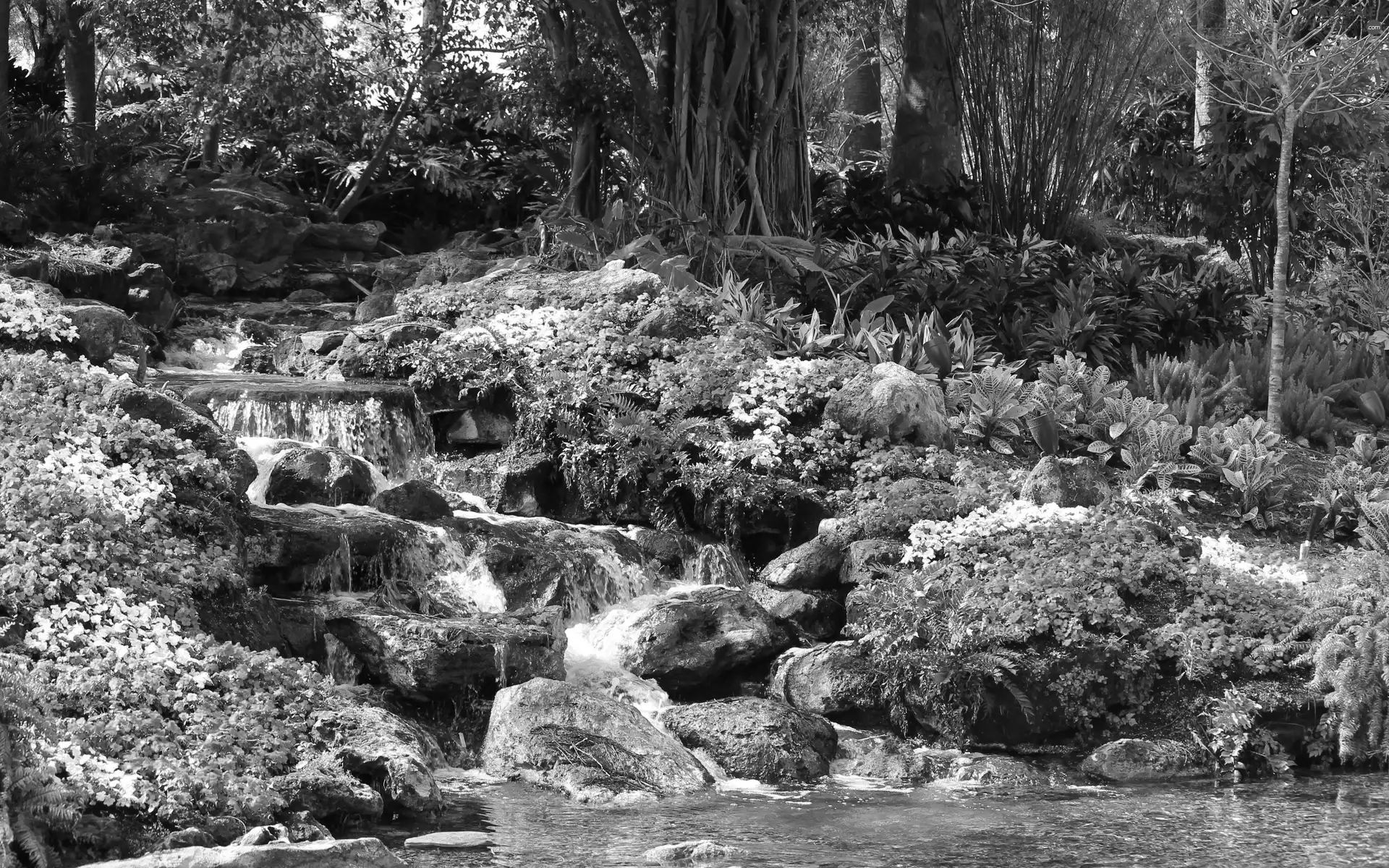 waterfall, Flowers, Stones, forest