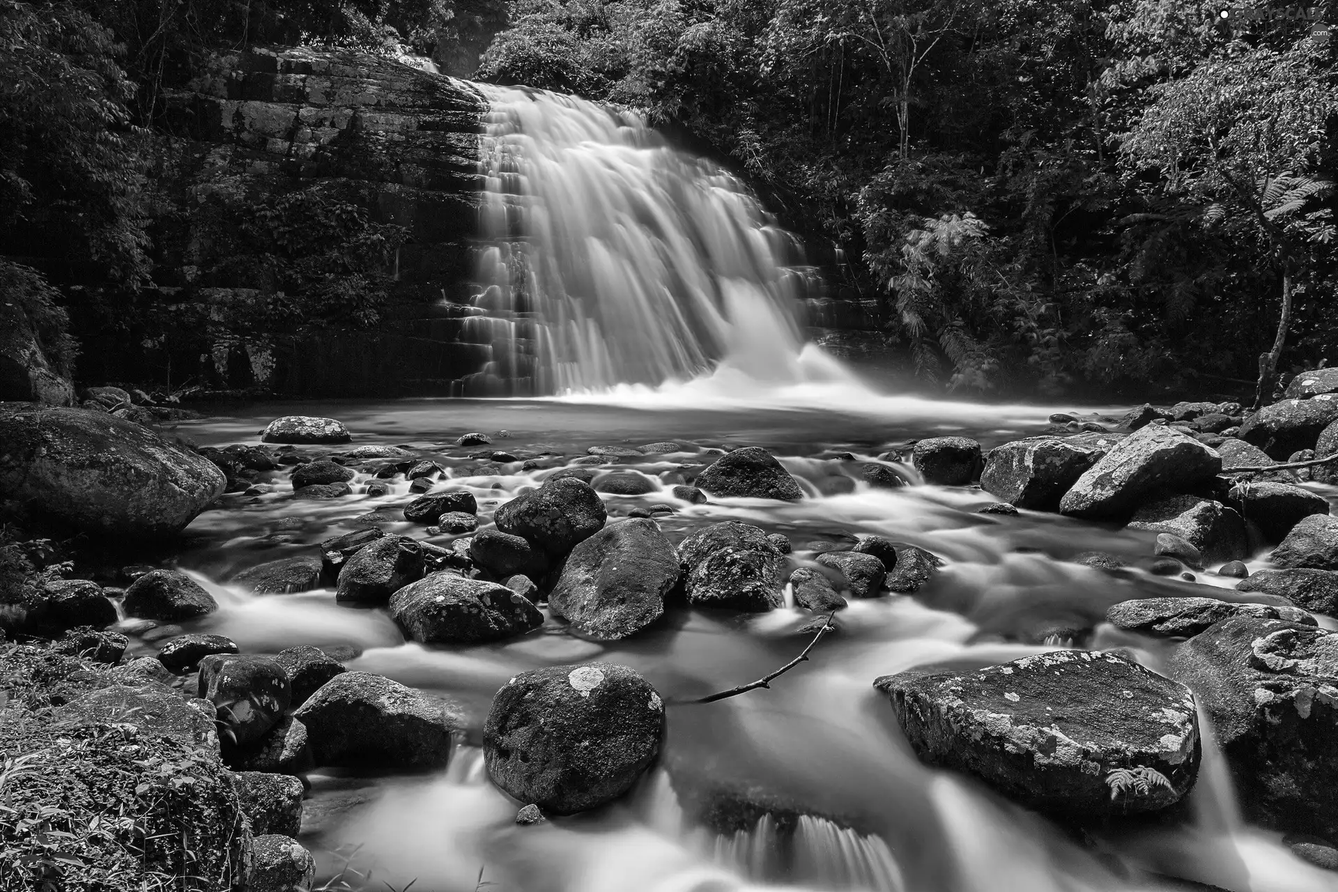 Stones, forest, waterfall