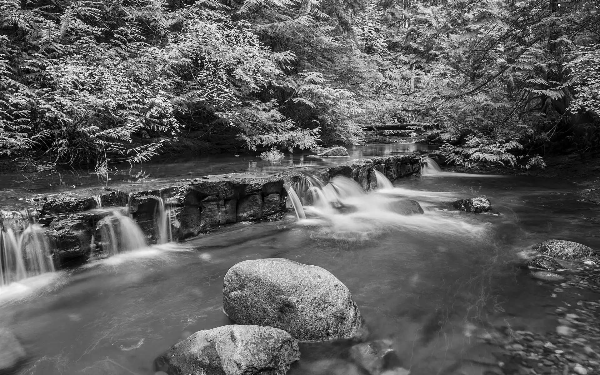 Stones, forest, waterfall