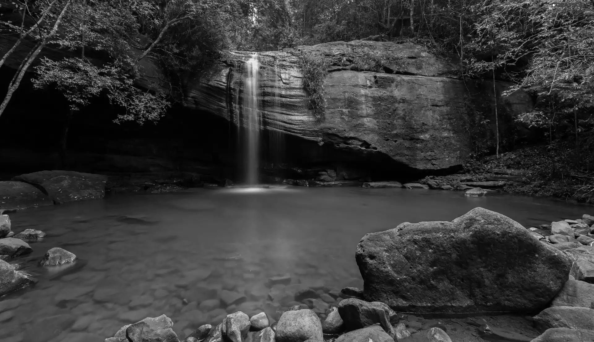 waterfall, rocks, Stones, forest