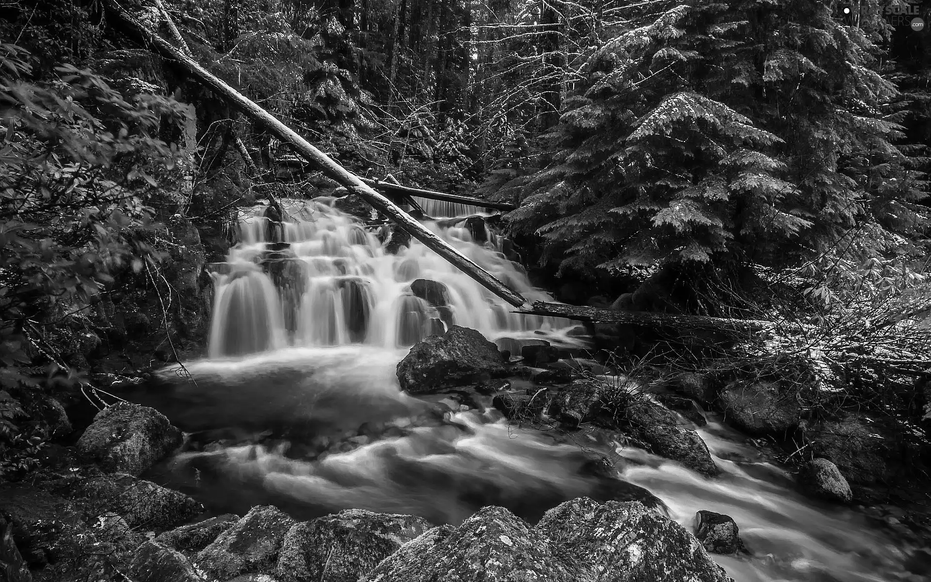 Stones, stream, waterfall