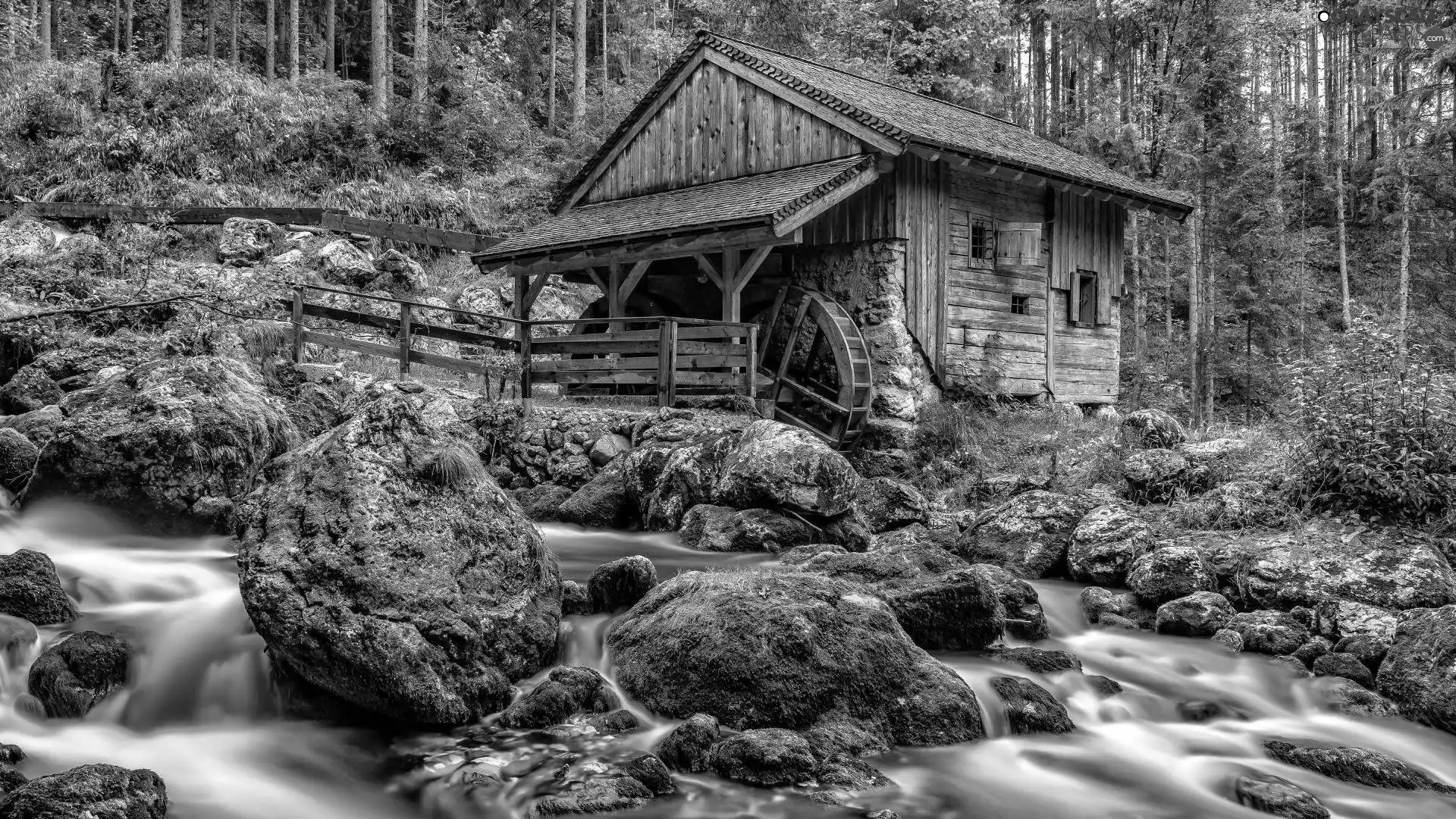 forest, wooden, mossy, Stones, River, Watermill