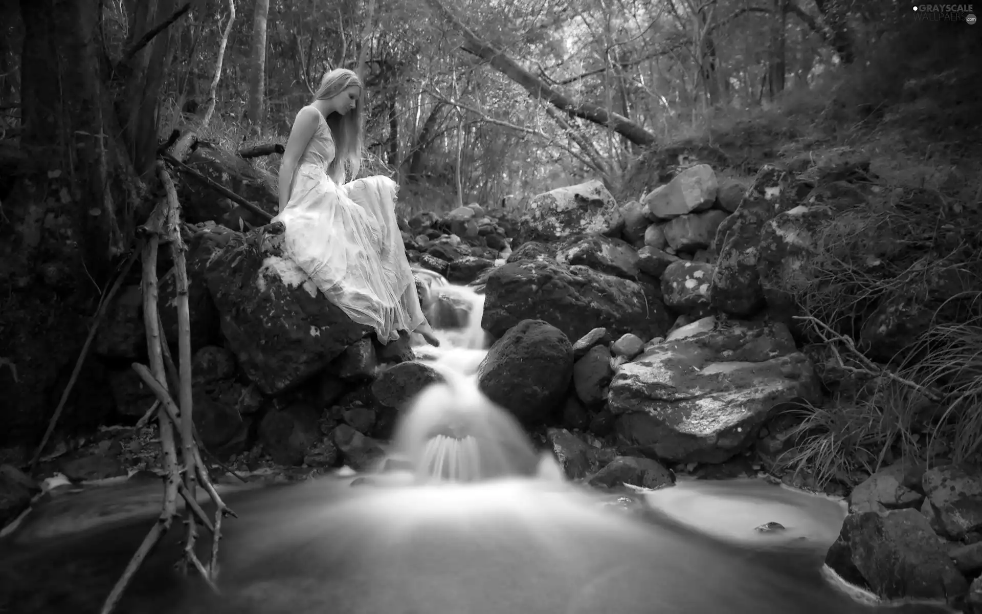 Women, stream, Stones, forest