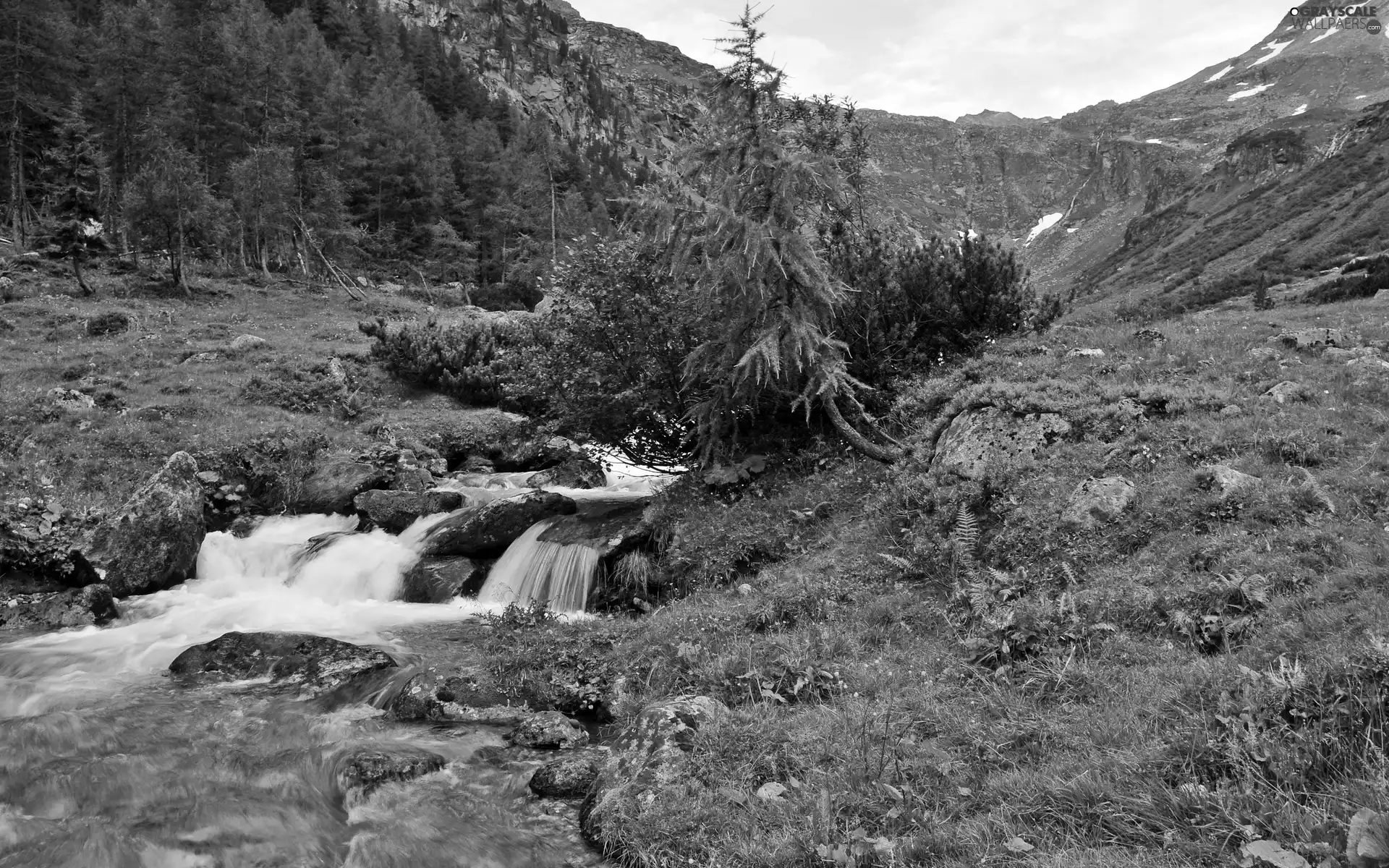 Stones, woods, mountainous, rocks, stream