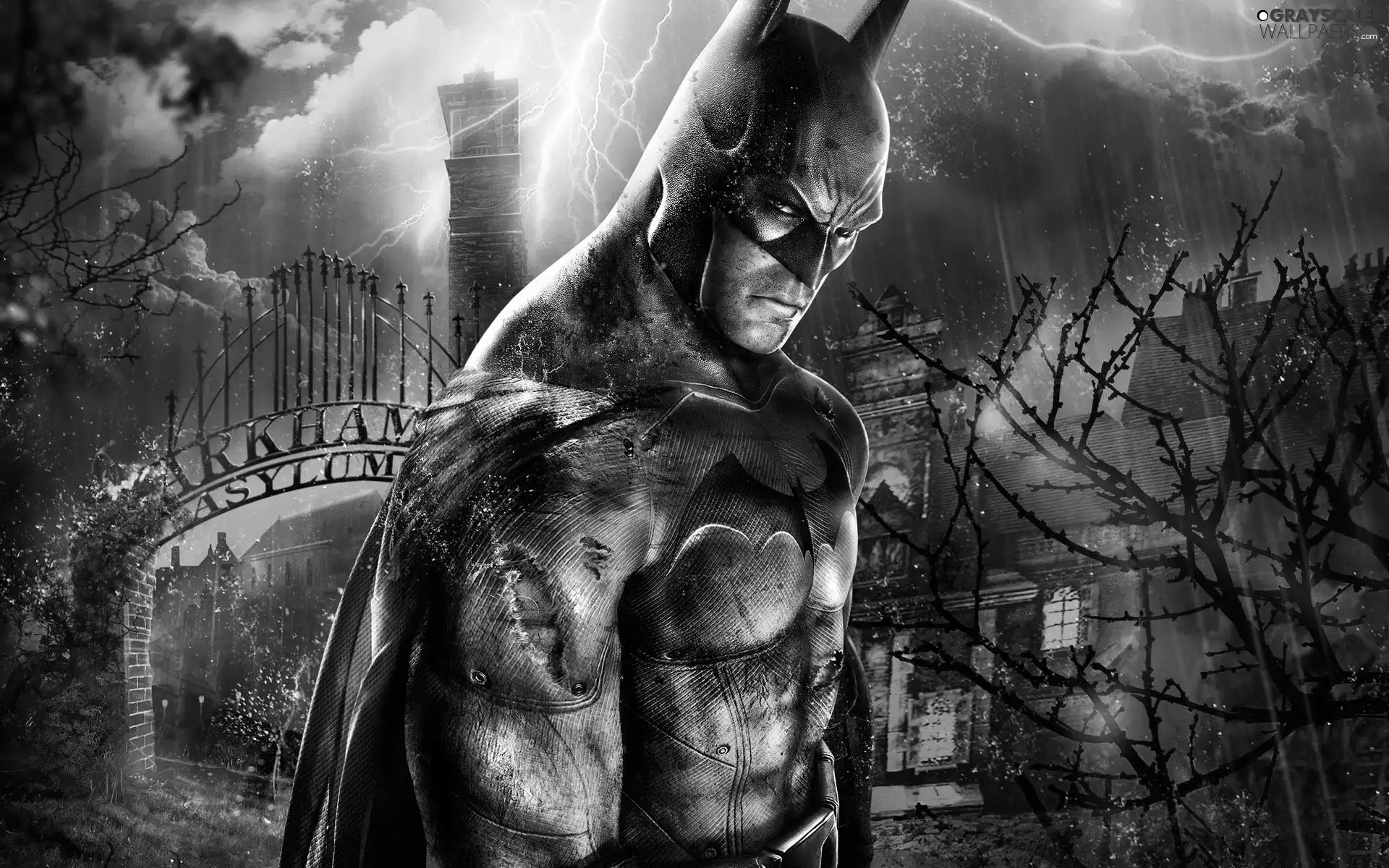 Batman, Storm