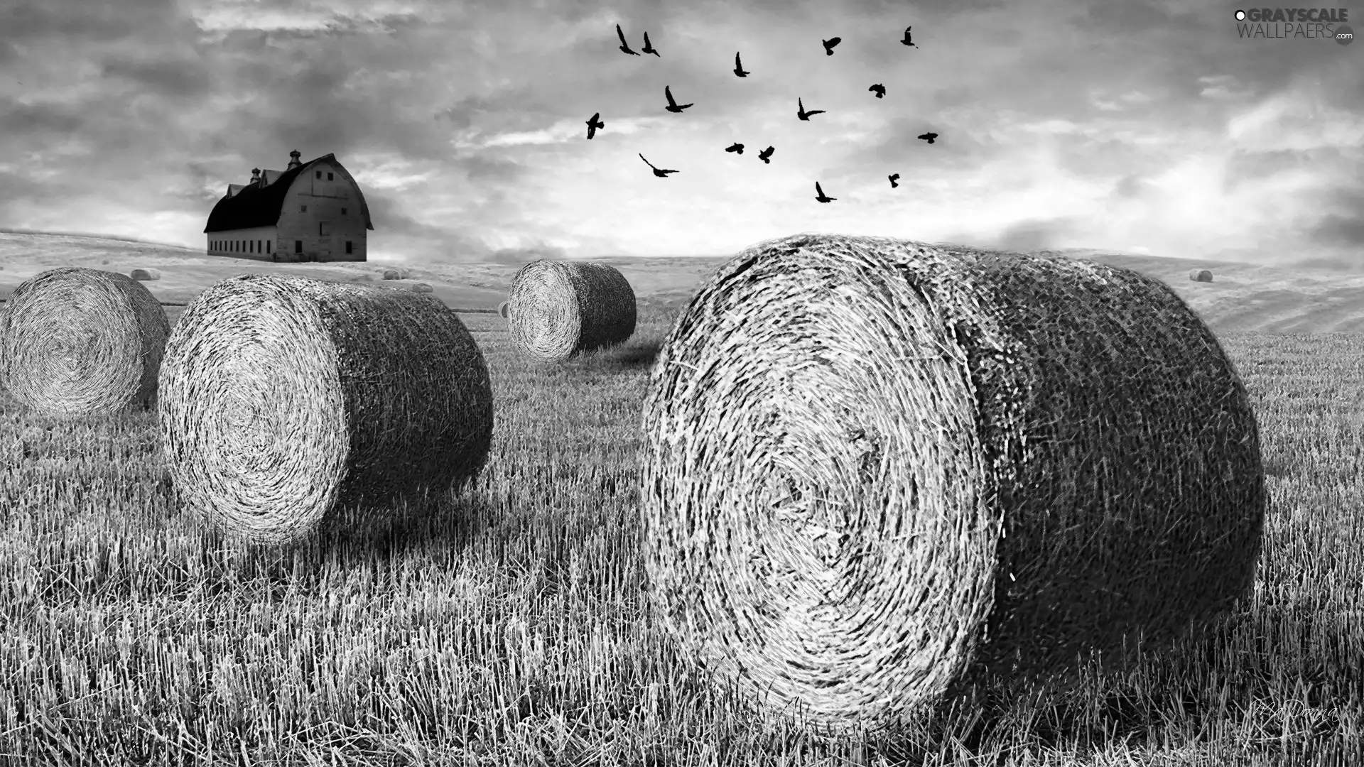 straw, clouds, Field