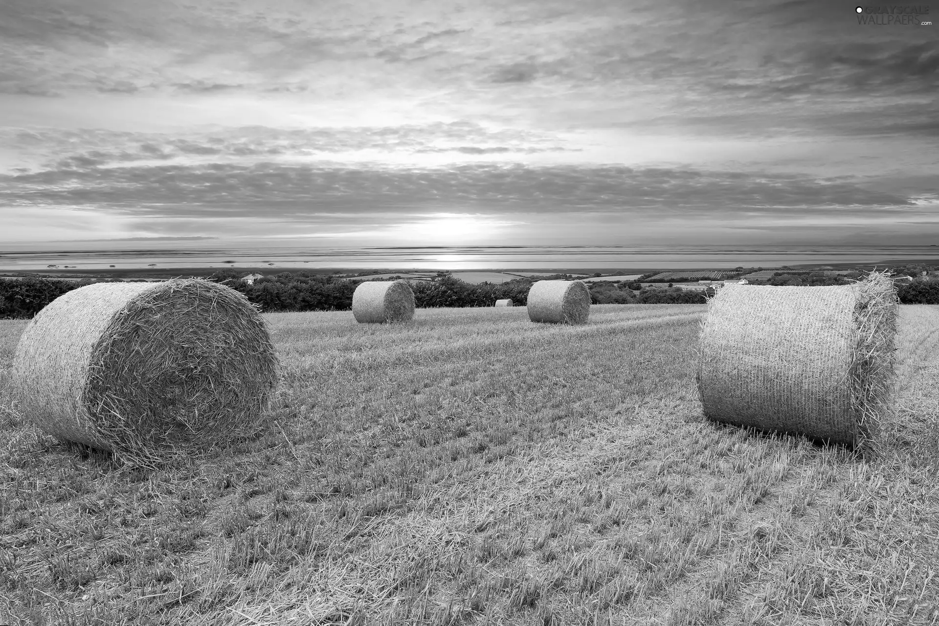 straw, harvest, sun, field, west