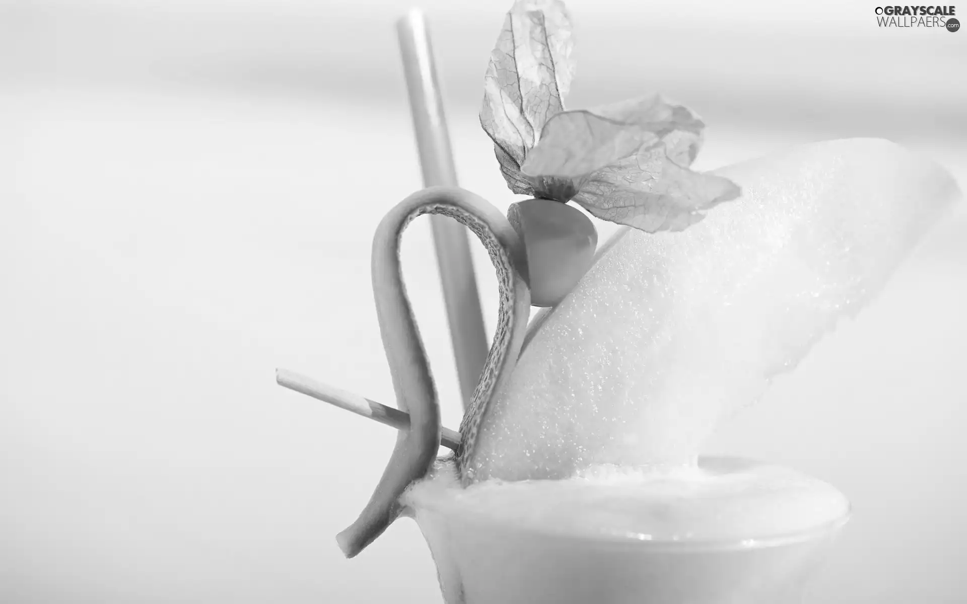 Straw, pudding, kiwi