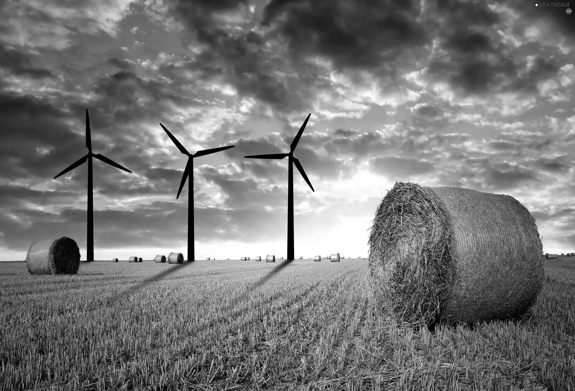 west, field, straw, sun