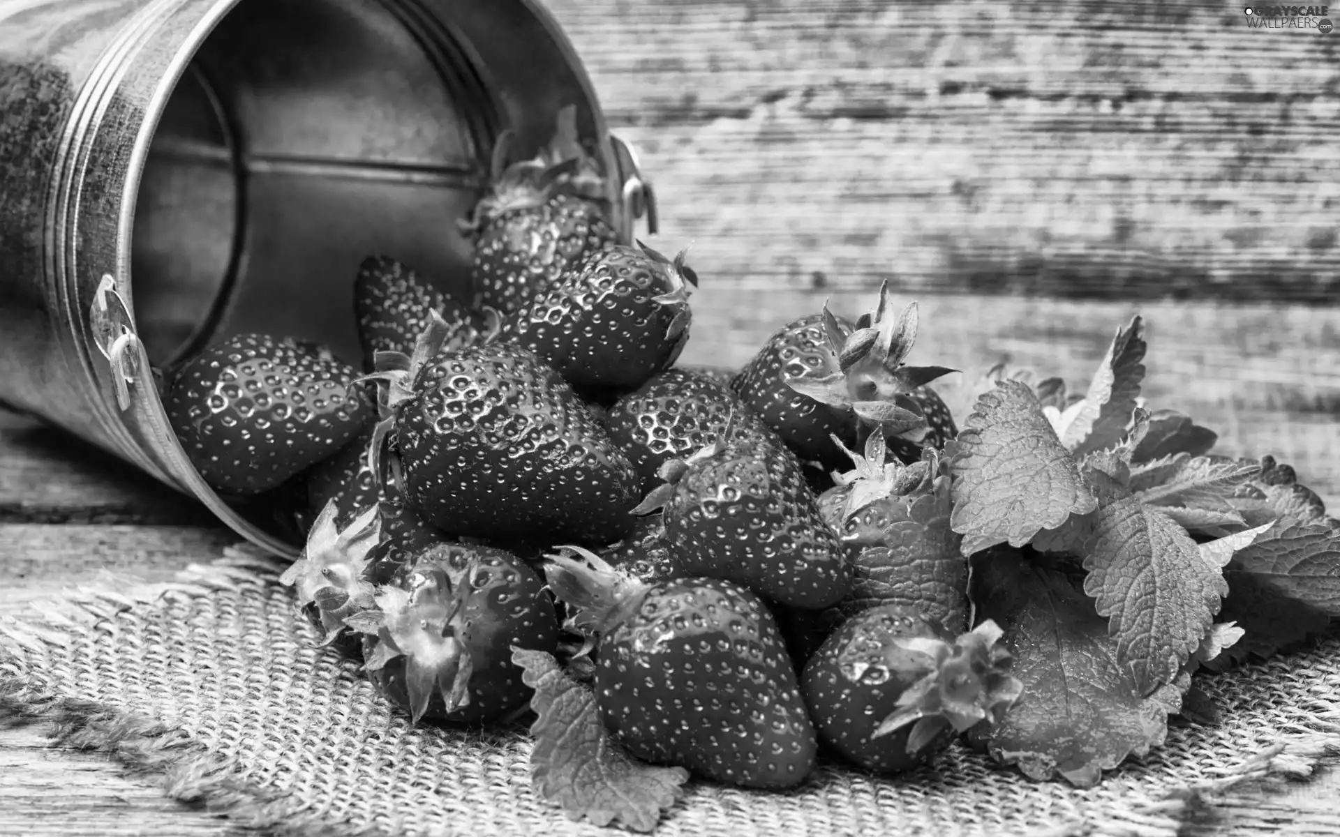 strawberries, Fruits, Bucket