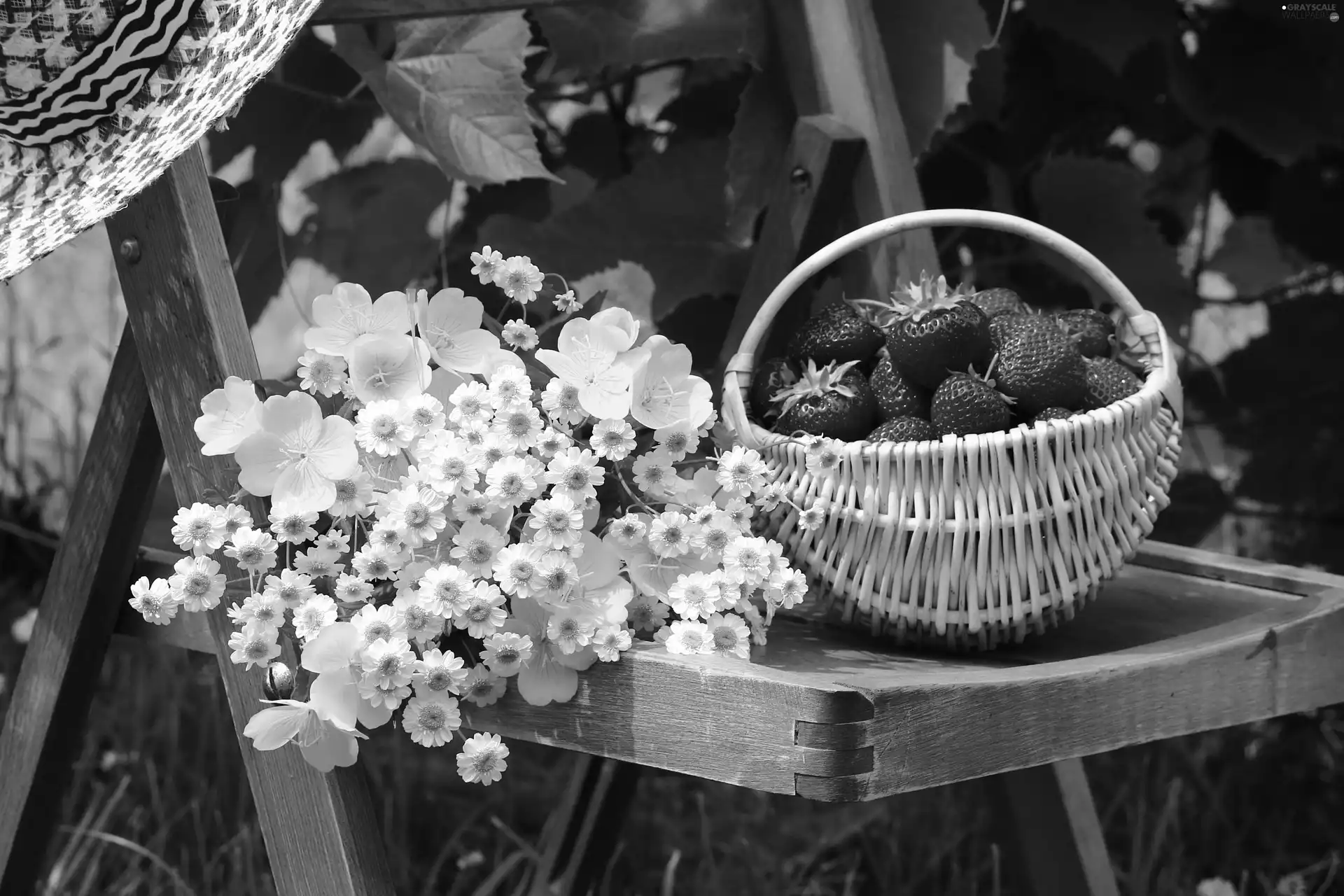 Chair, basket, strawberries, Flowers