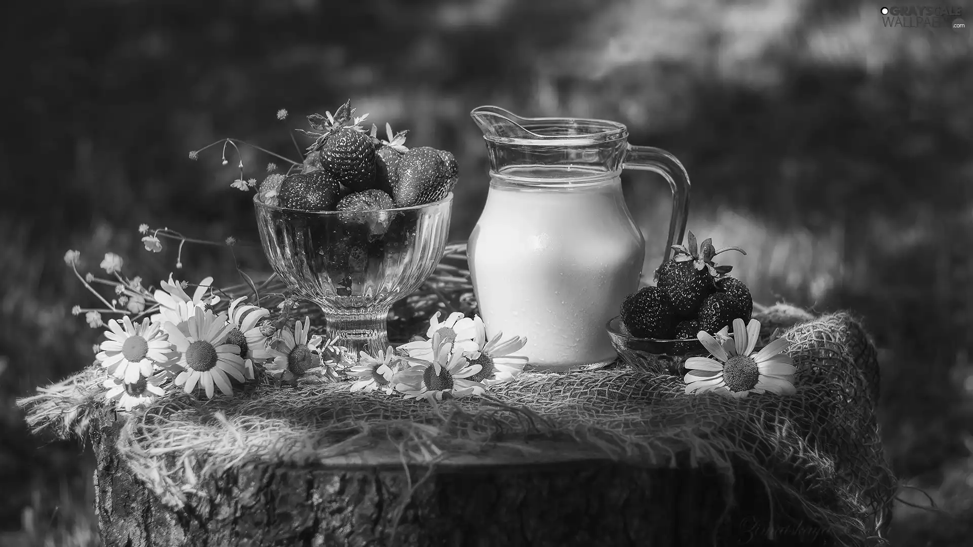 composition, milk, daisy, strawberries