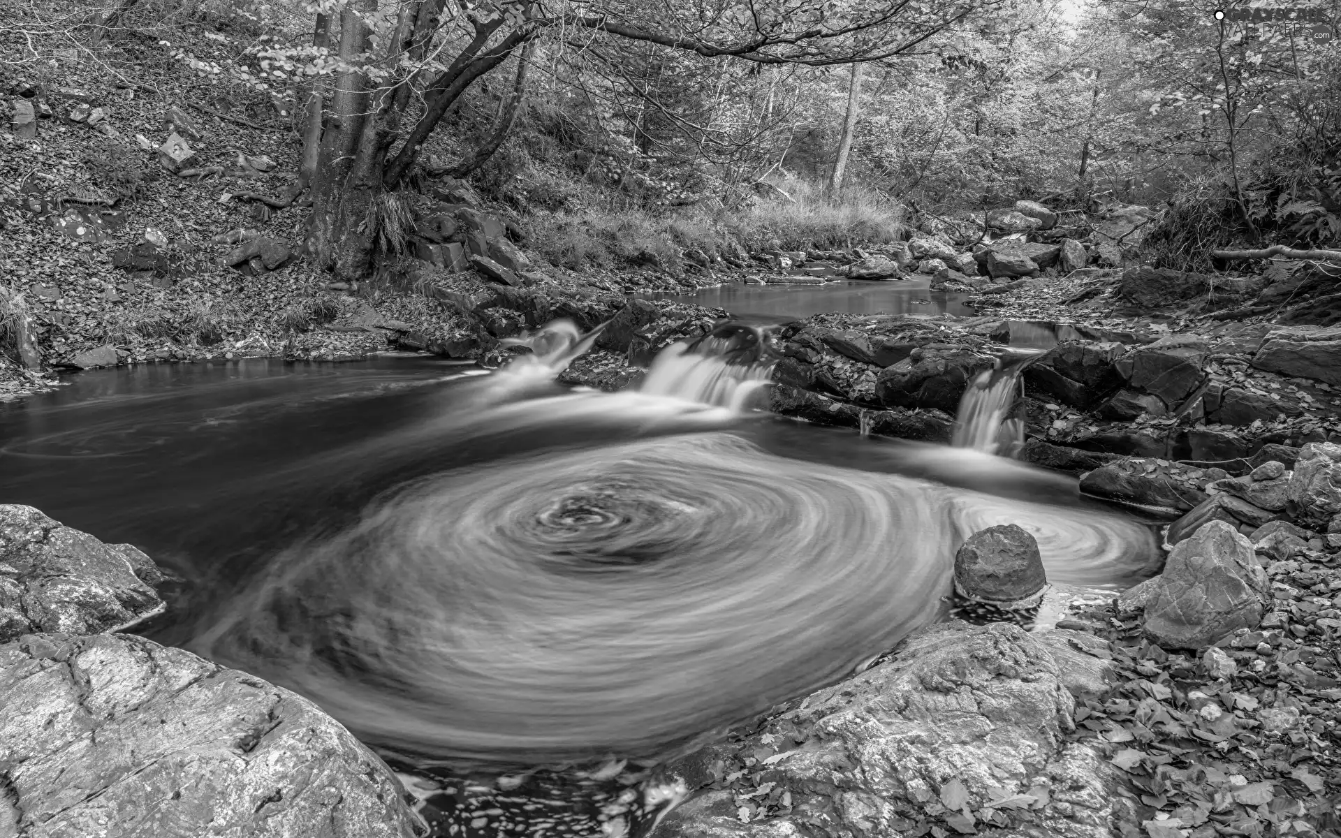 trees, viewes, Leaf, River, Stones, forest, autumn, stream