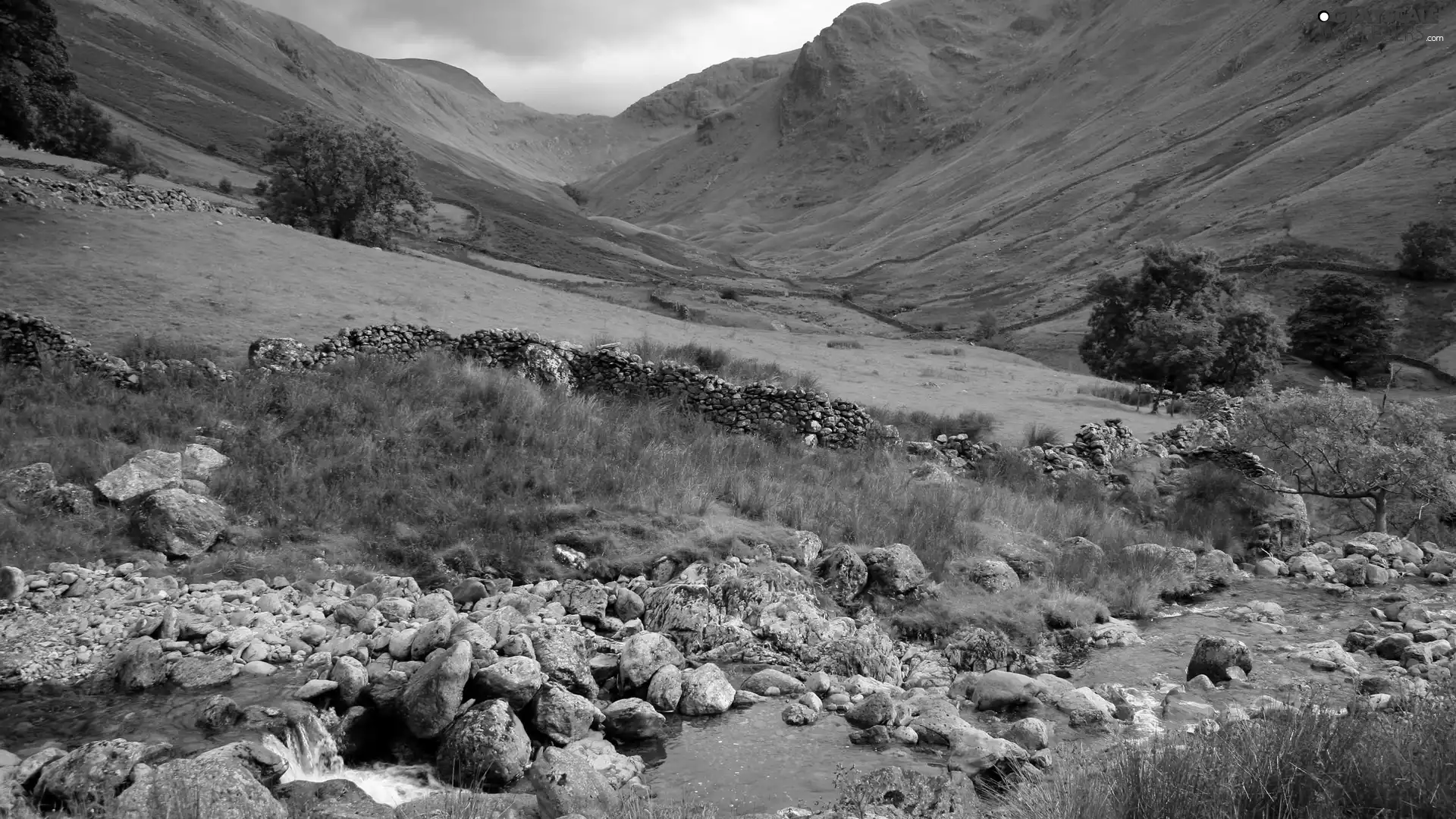 stream, Meadow, Mountains