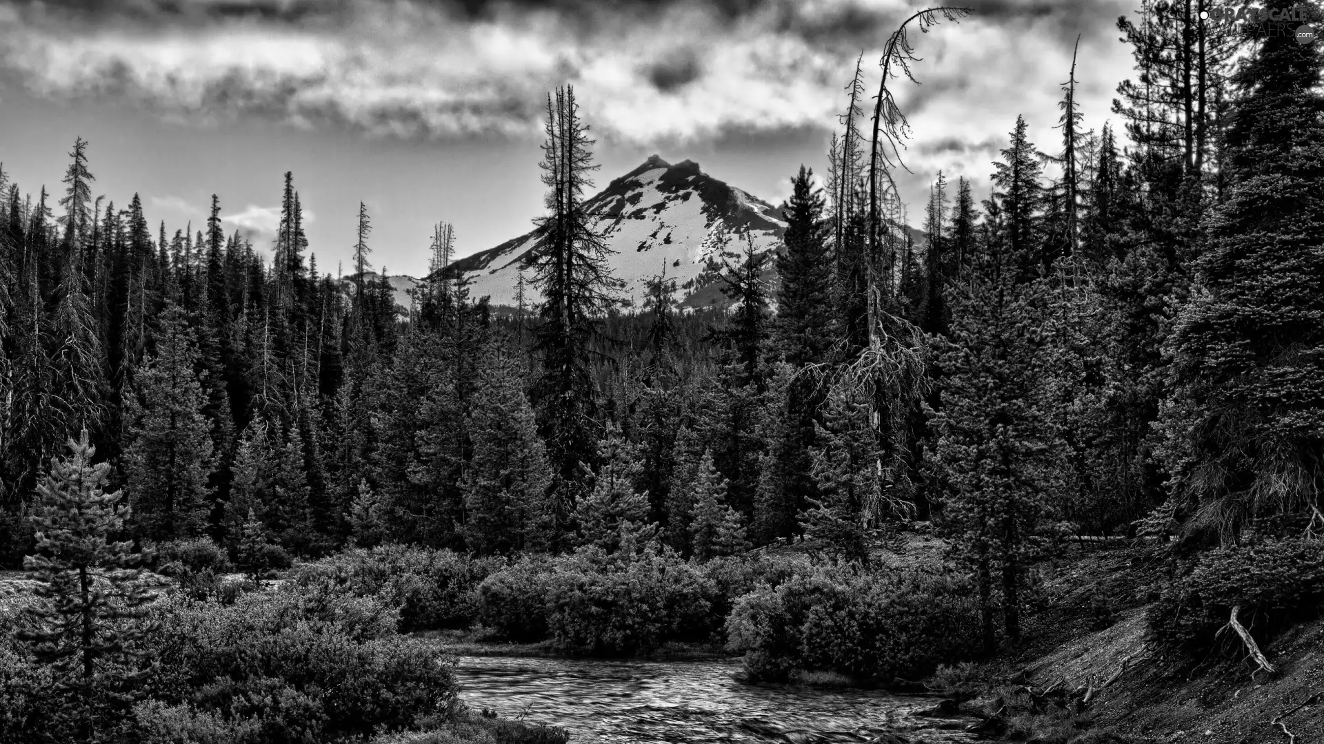 Mountains, stream, stream, forest