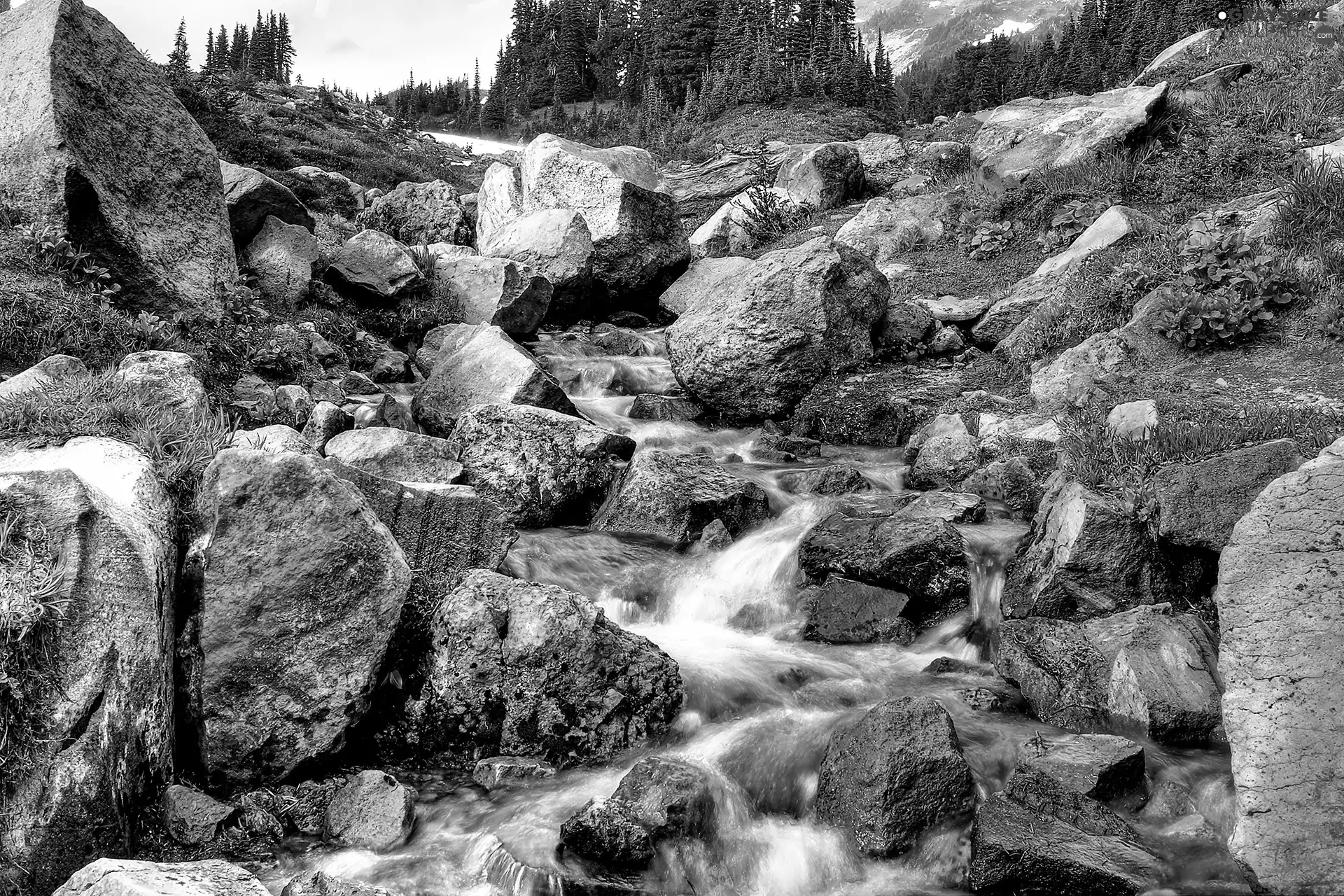 Stones, stream